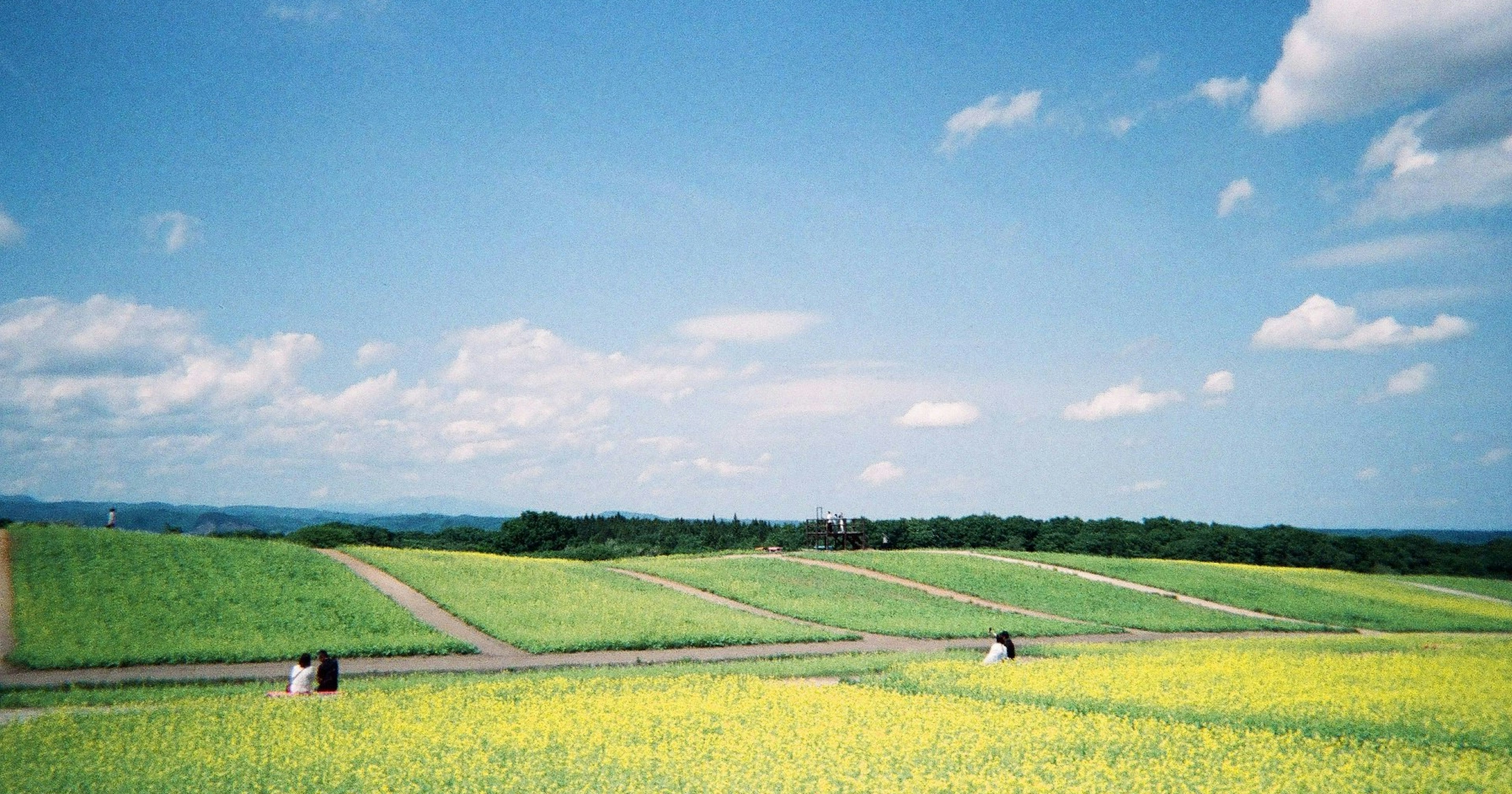2025-05-utsurundesu-style-cover-image