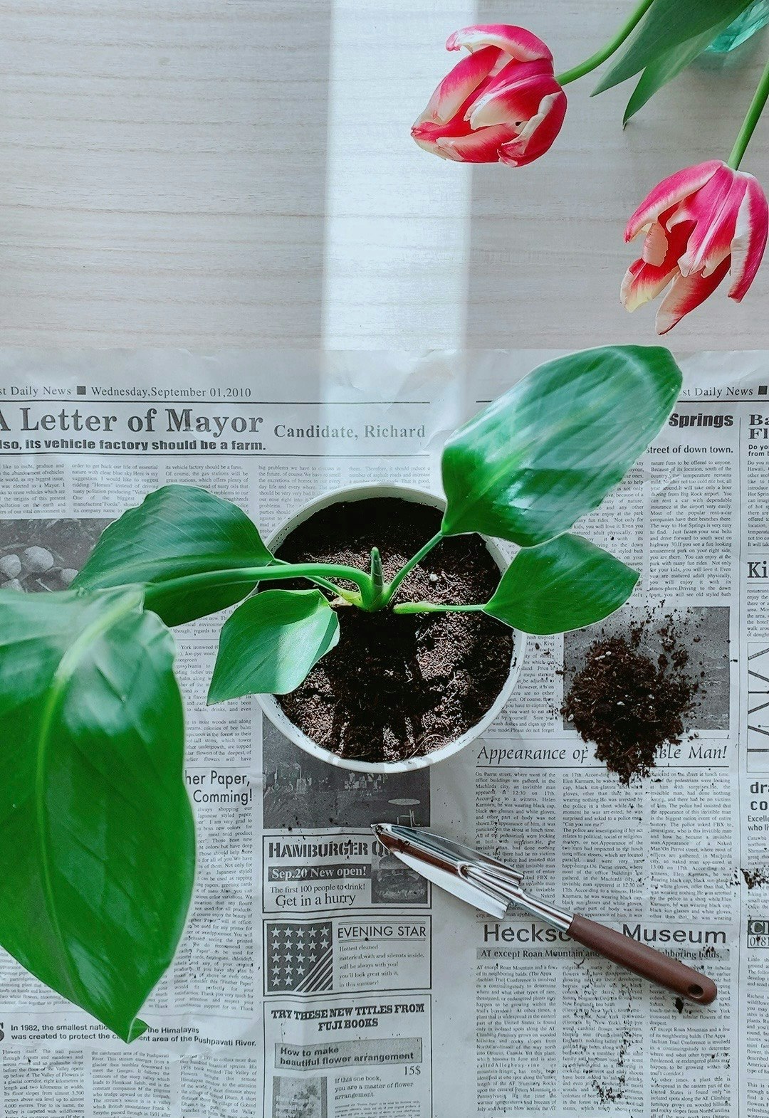 2024-12-hdr10-adaptive-image-8