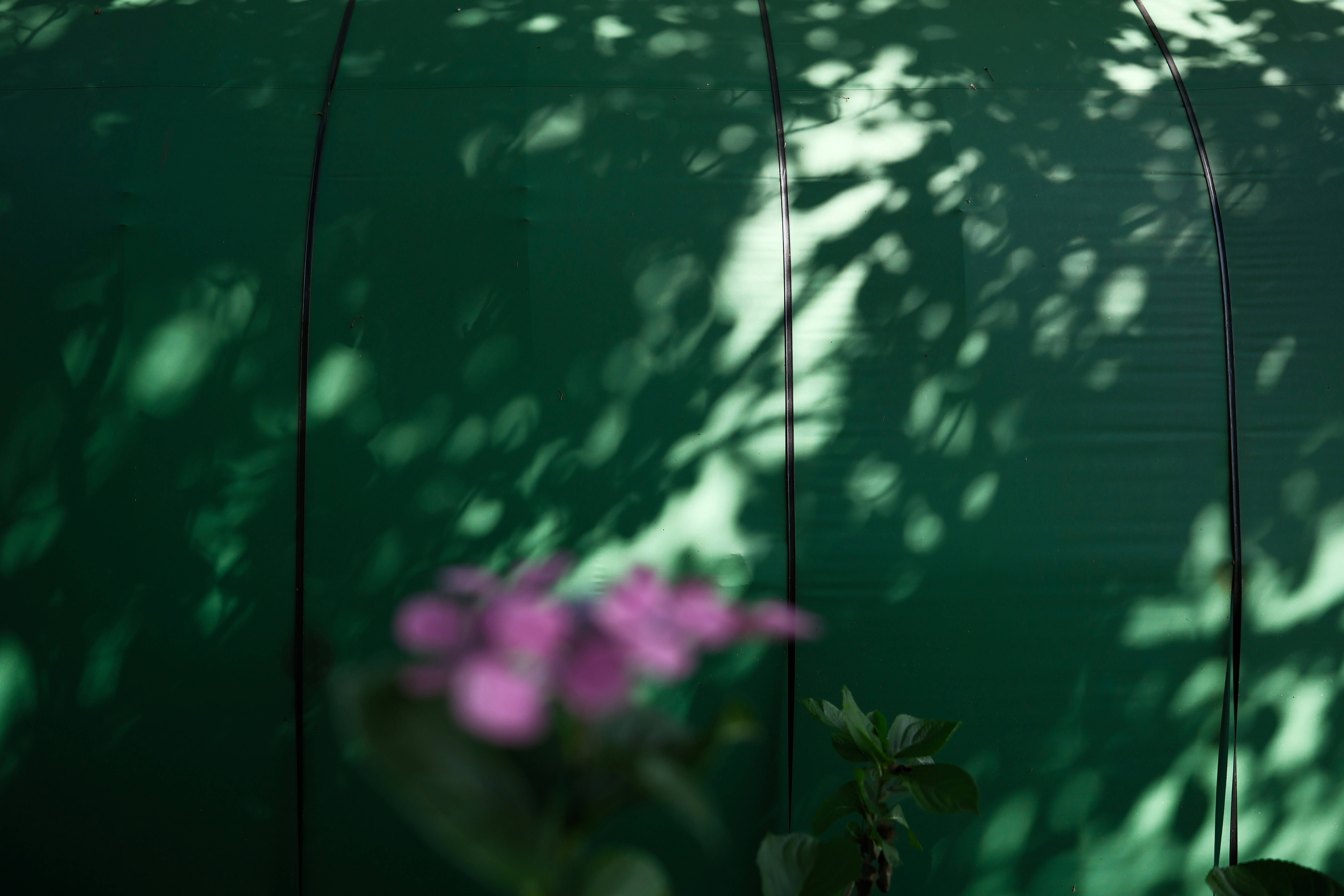 2026-08-xf-18mm-f1-4-every-detail-refined-image-9