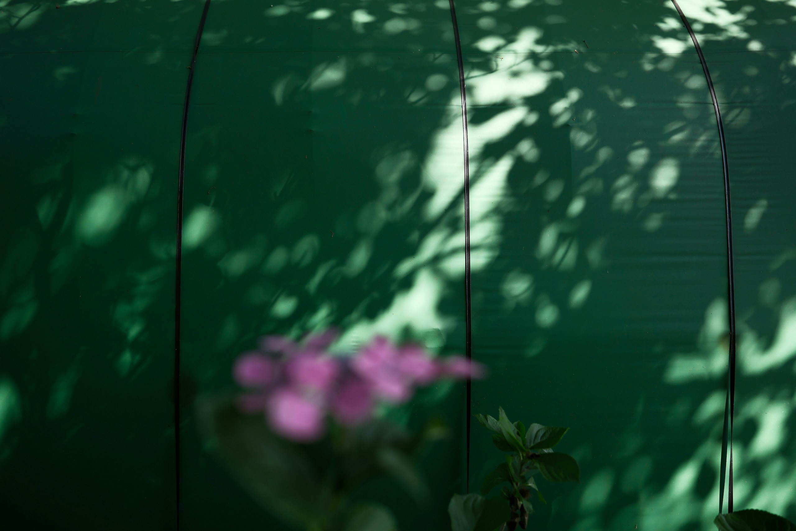2026-08-xf-18mm-f1-4-every-detail-refined-image-9