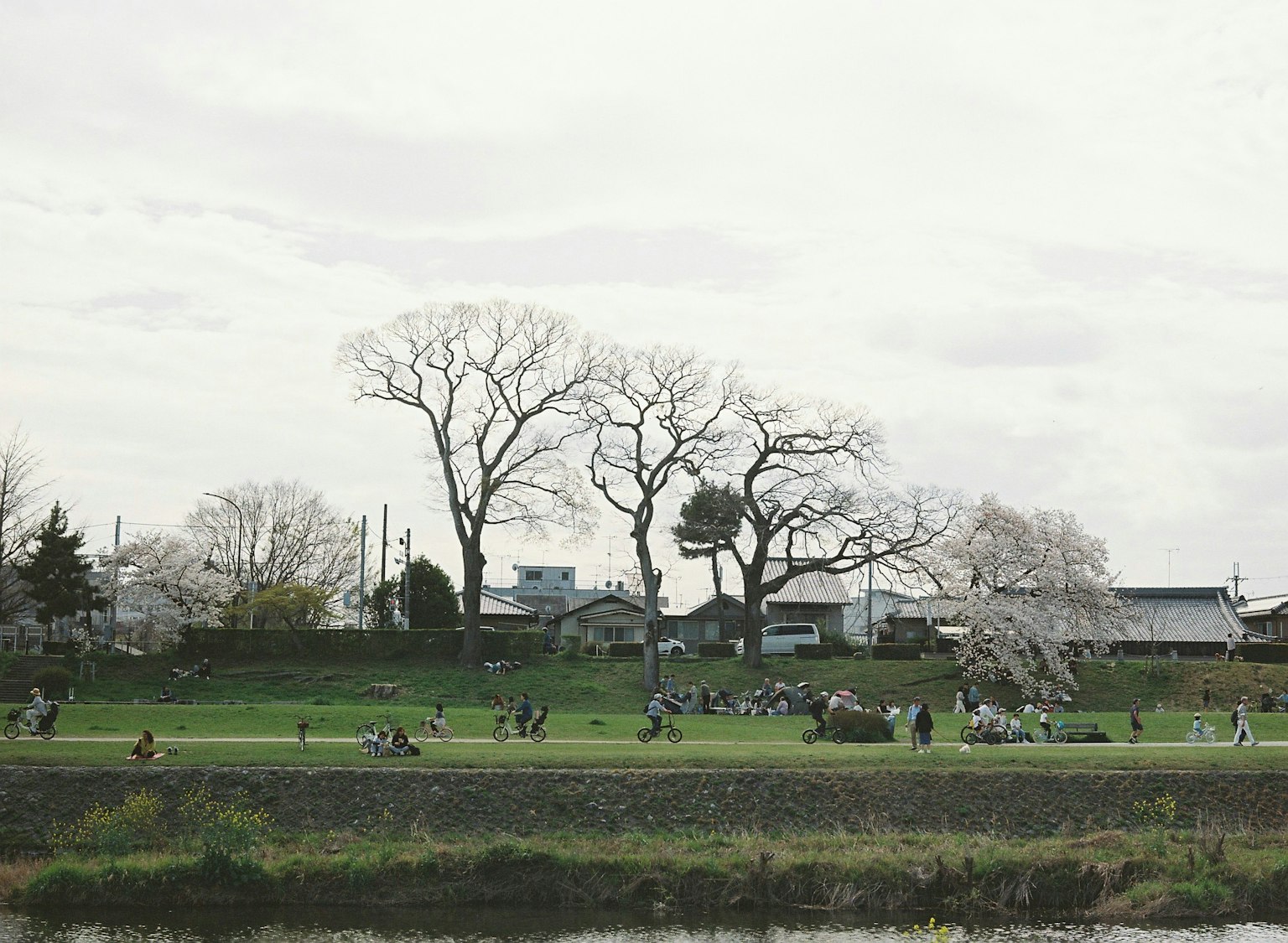 2024-05-lomography-iso-800-image-12