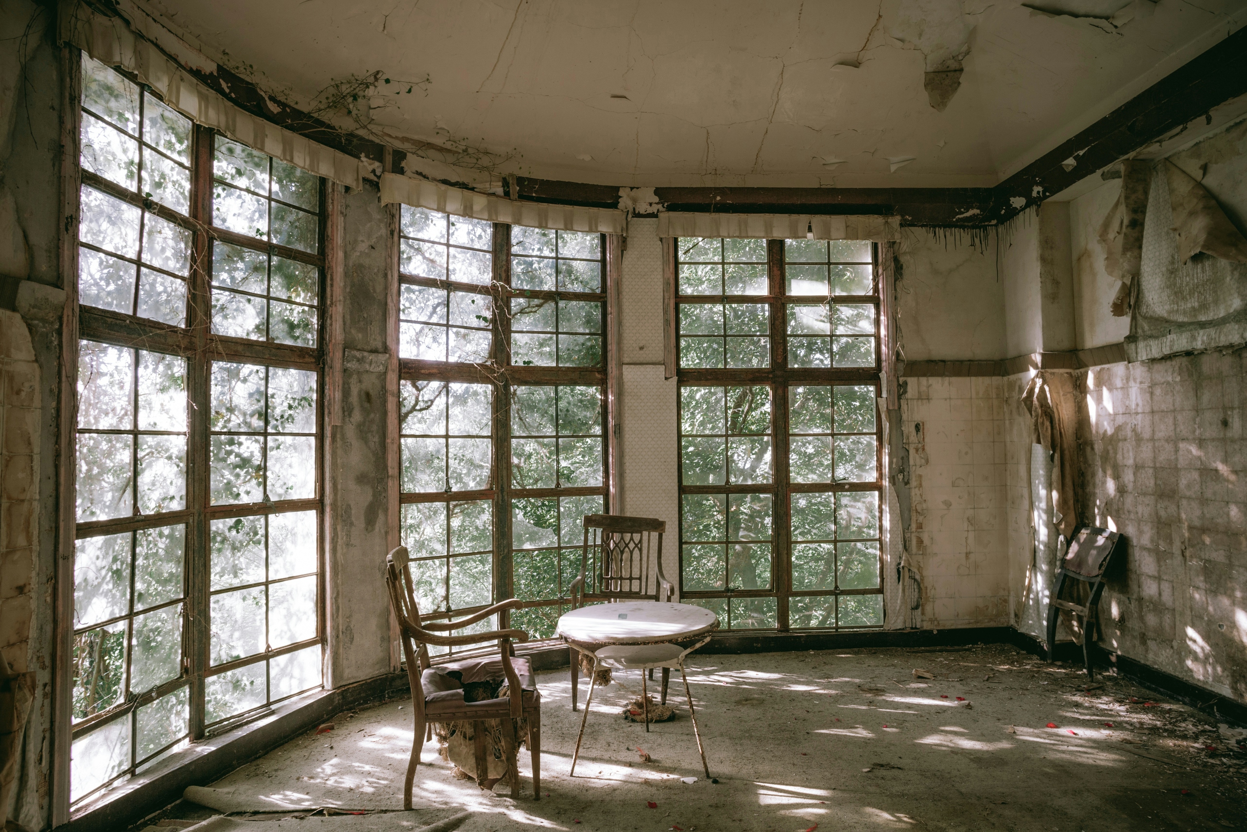 2026-06-find-new-pieces-window-image-26