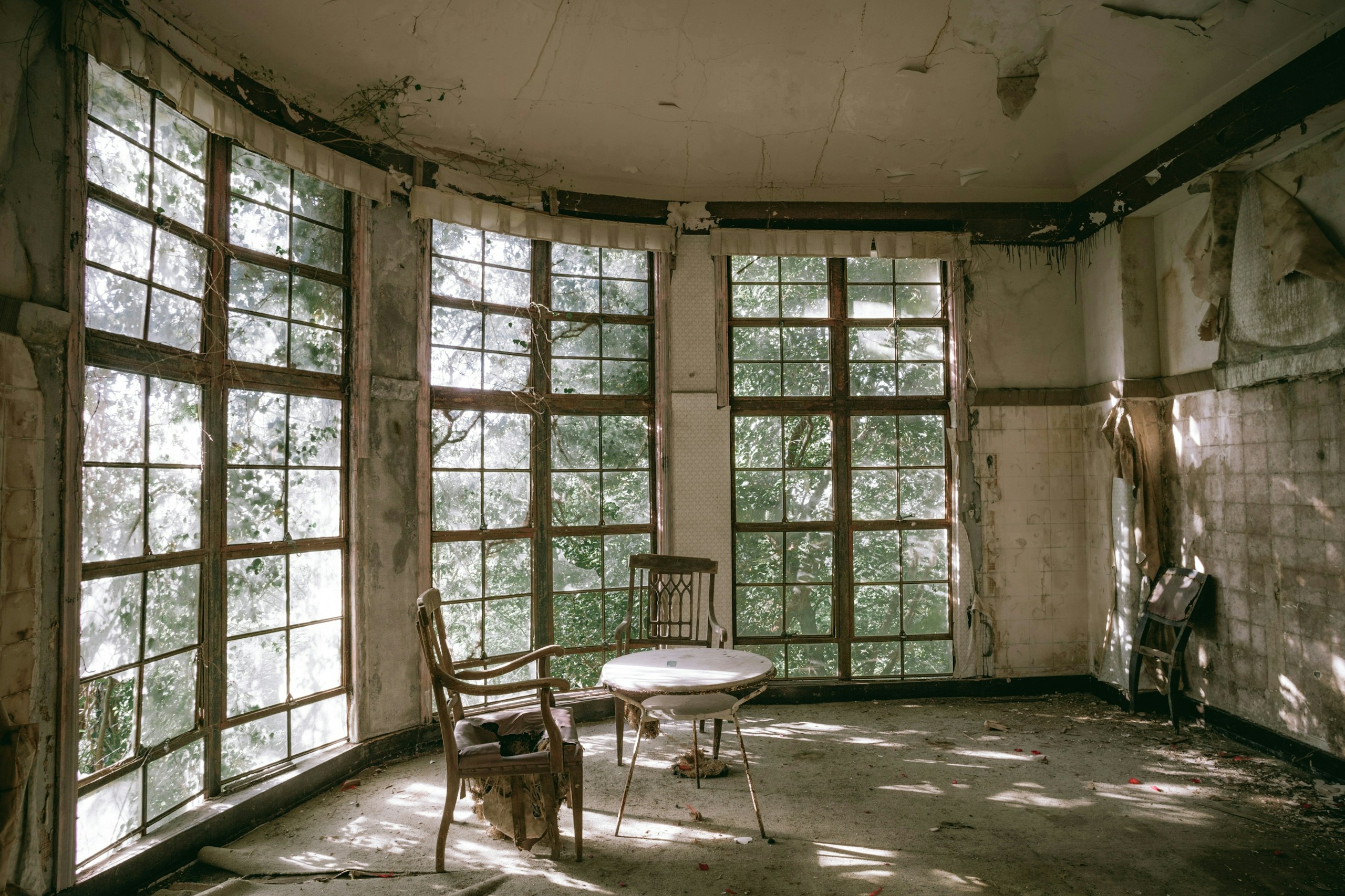 2026-06-find-new-pieces-window-image-26