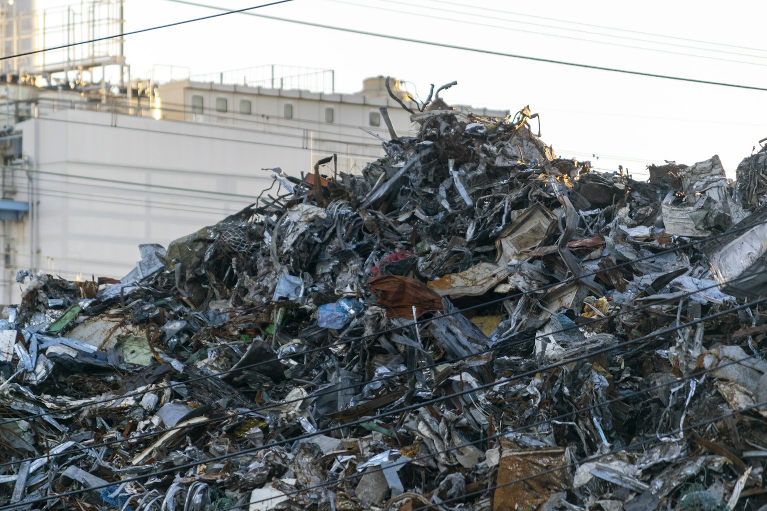 2024-05-rare-metal-in-camera-image-8