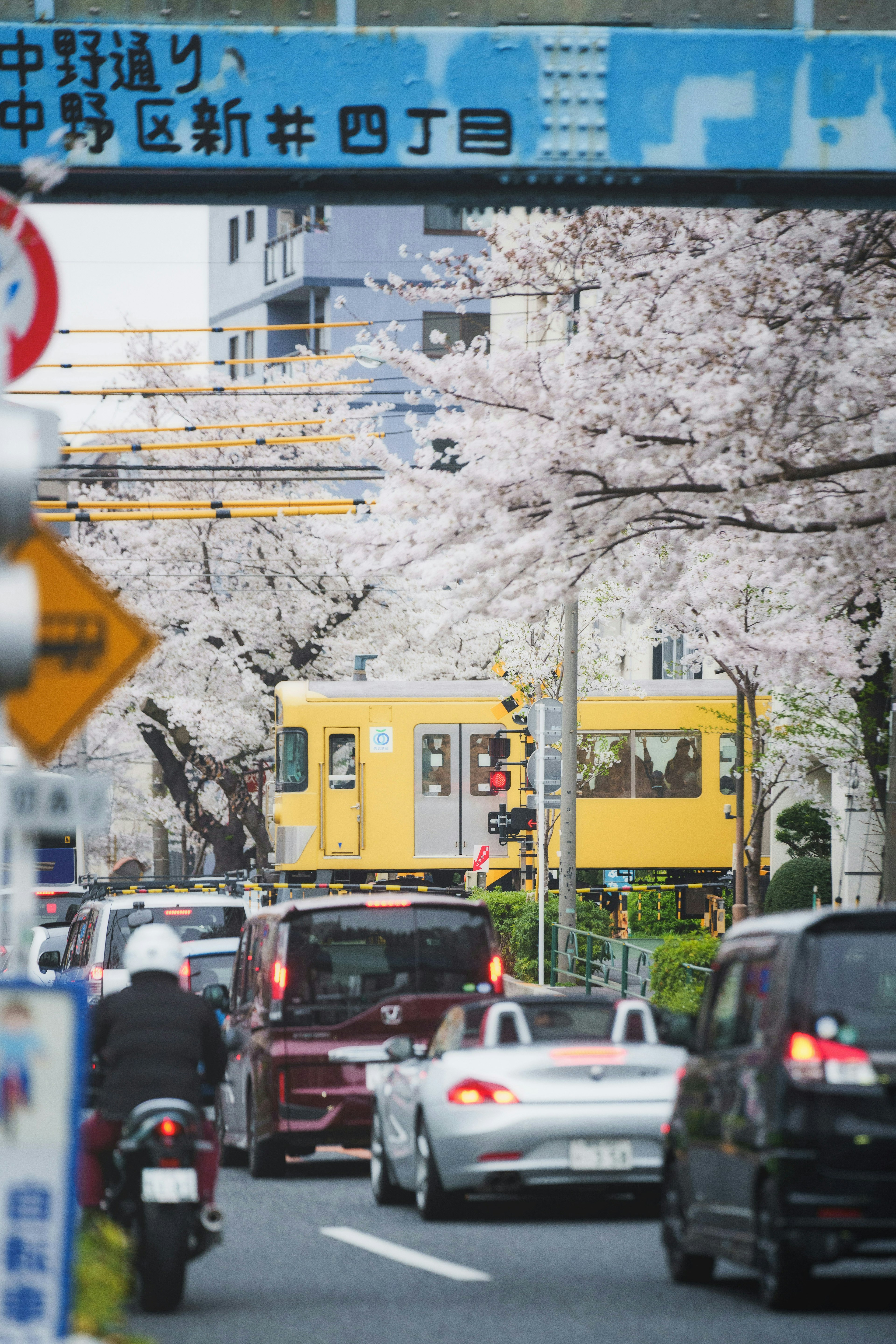 2025-07-nakano-camera-stores-image-2