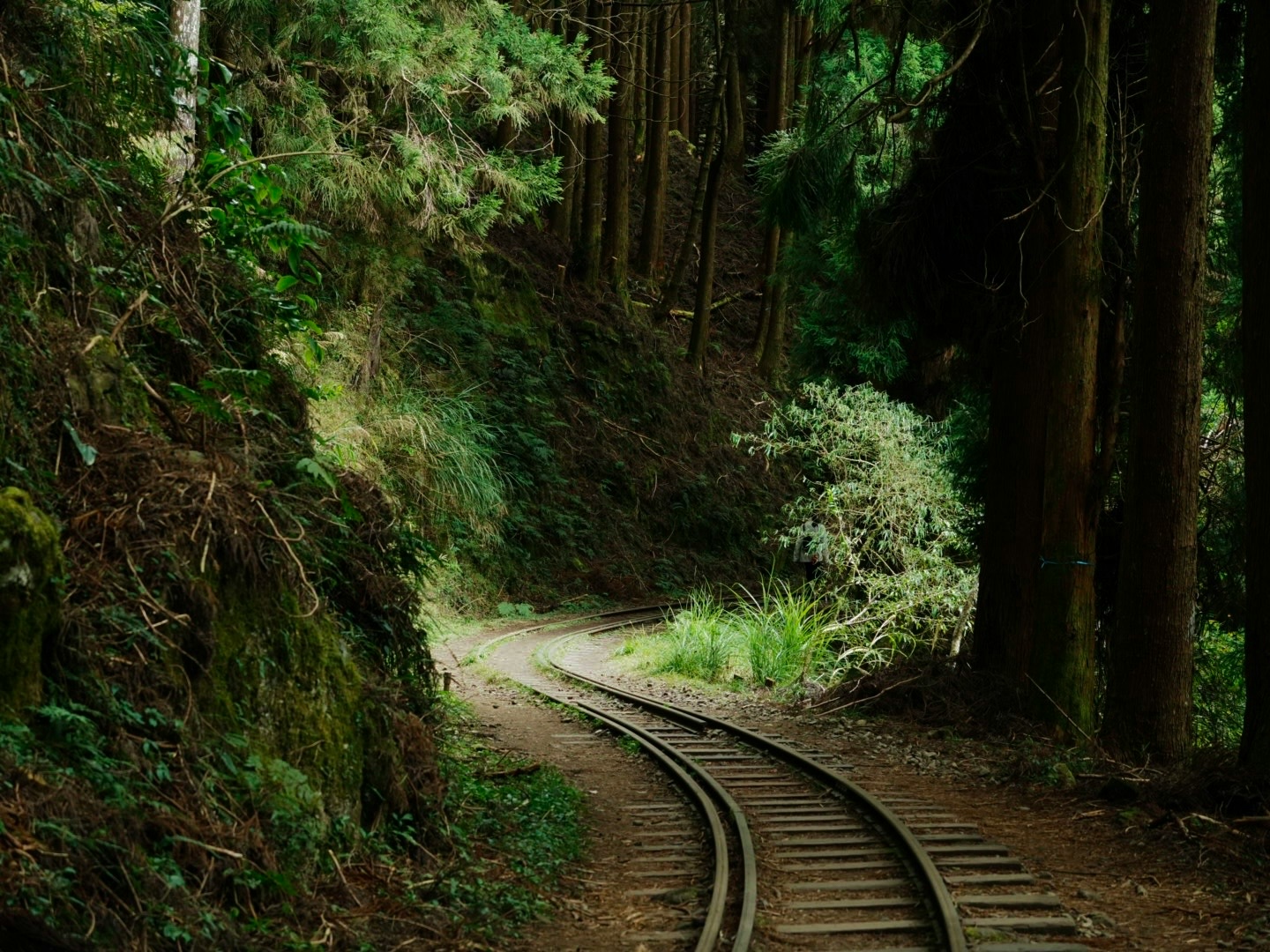 2026-03-reading-the-trail-award-image-15