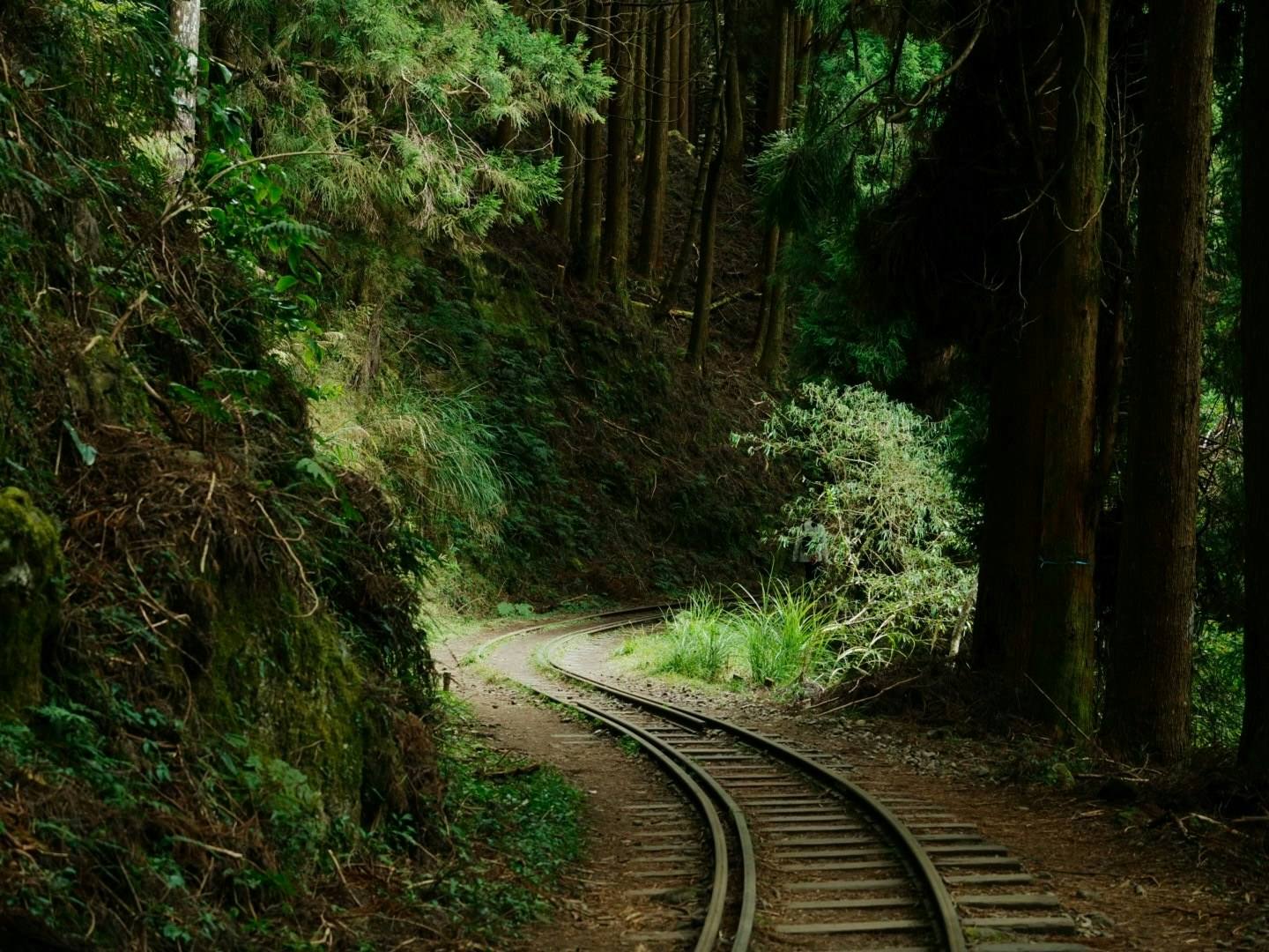 2026-03-reading-the-trail-award-image-15