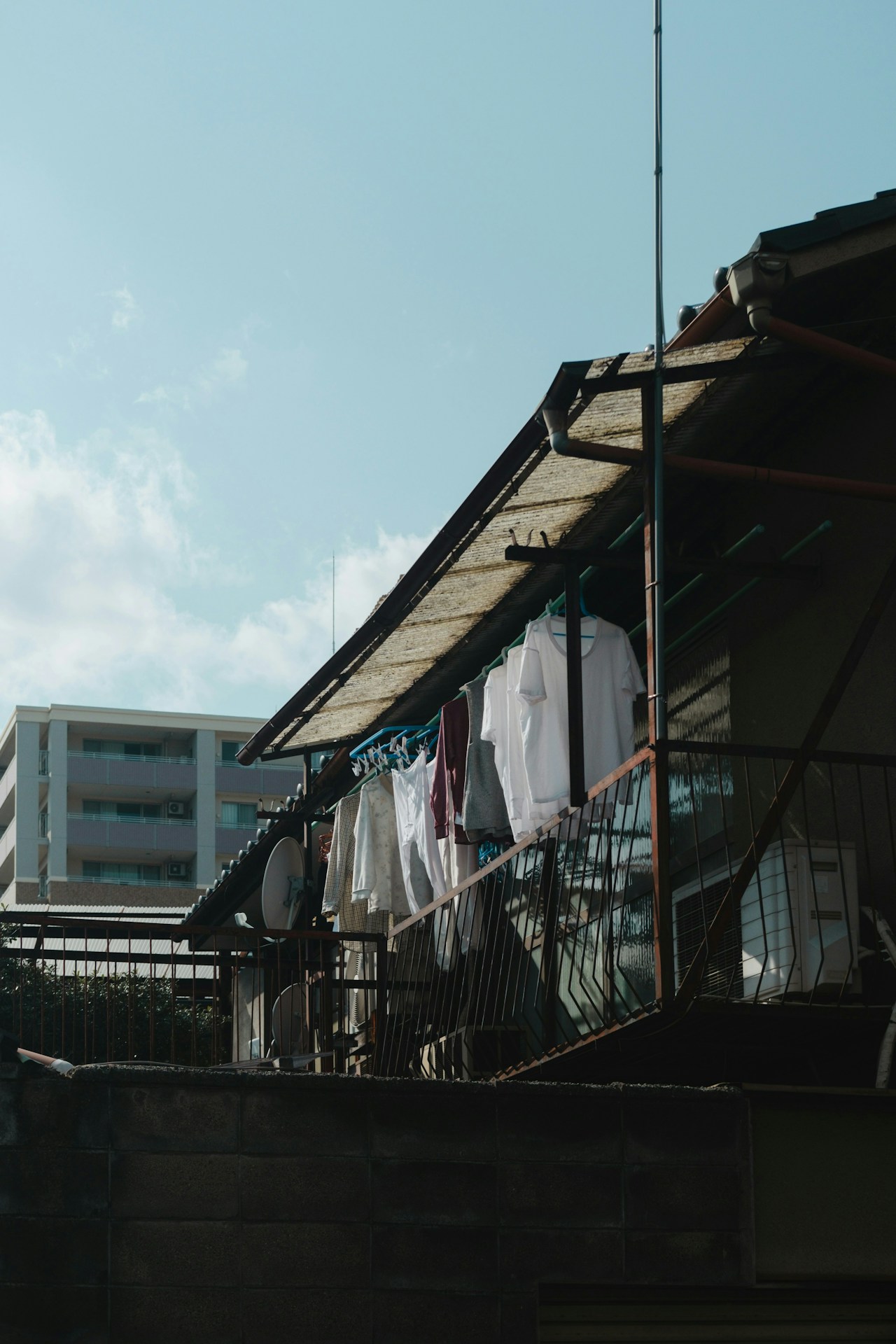 Photo by Jin