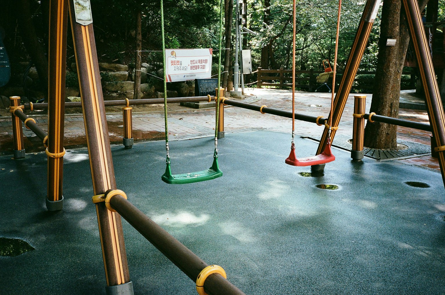2025-09-contax-t2-portra800-expression-momo-image-21