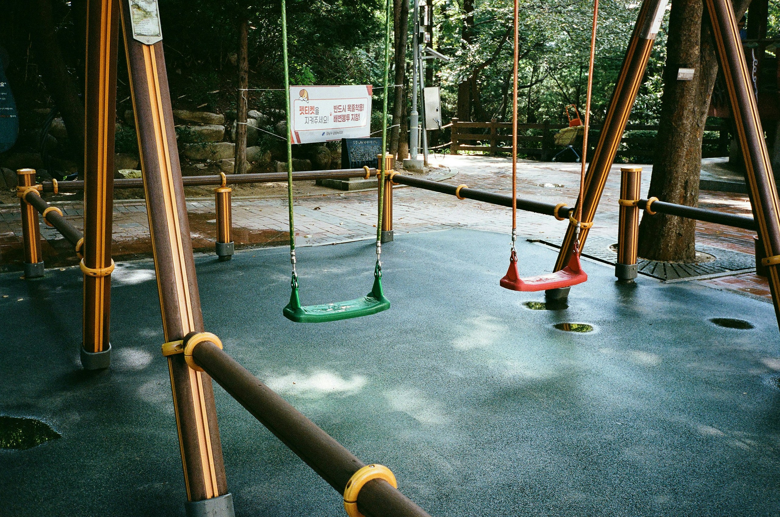 2025-09-contax-t2-portra800-expression-momo-image-21