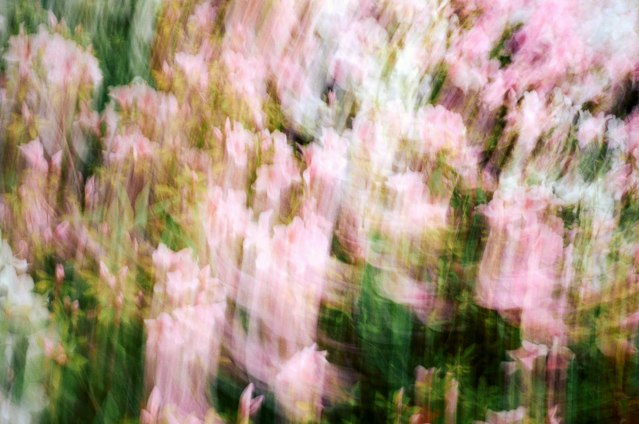 Photo by m4n4c
