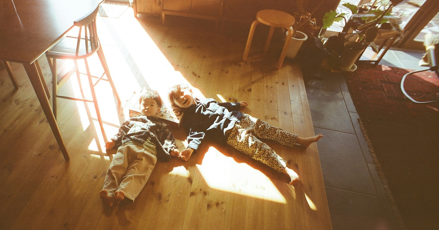 2026-03-where-light-falls-cover-image