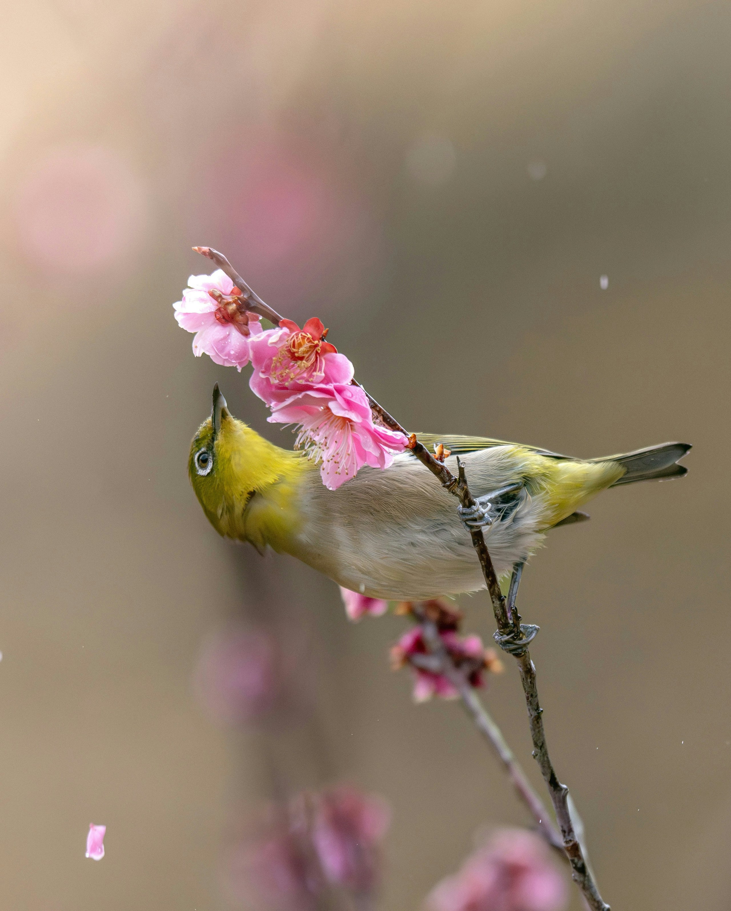 2025-07-seasonal-nature-image-10