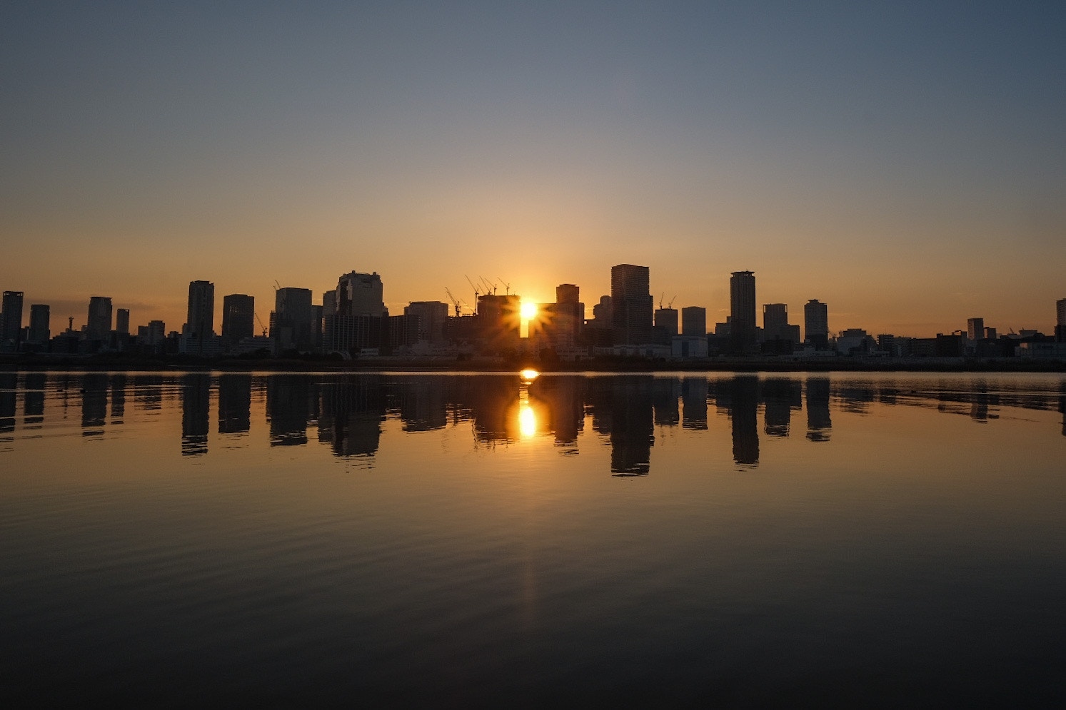 2026-08-dawn-image-6
