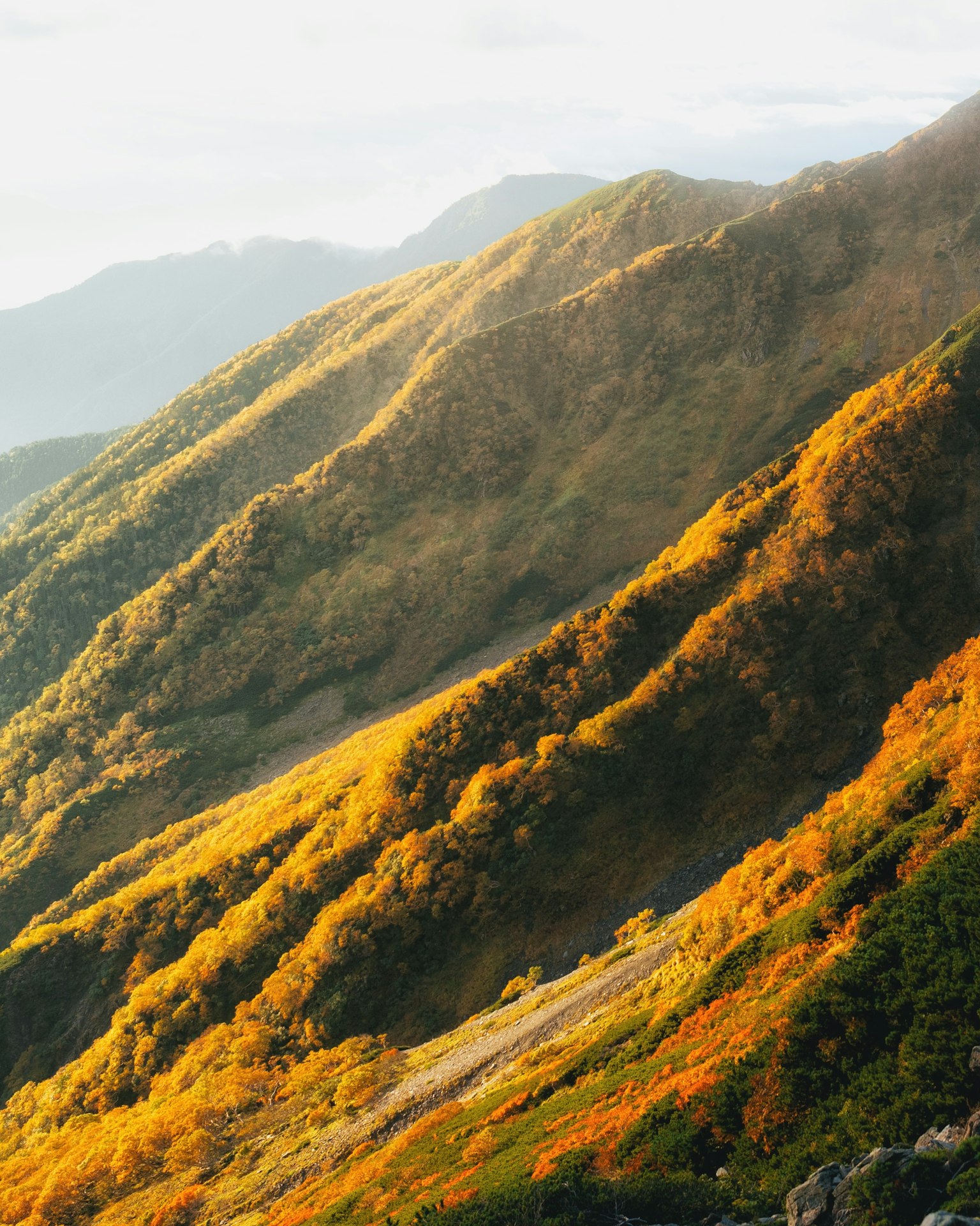 2023-11-focus-to-natural-photographer-image-9