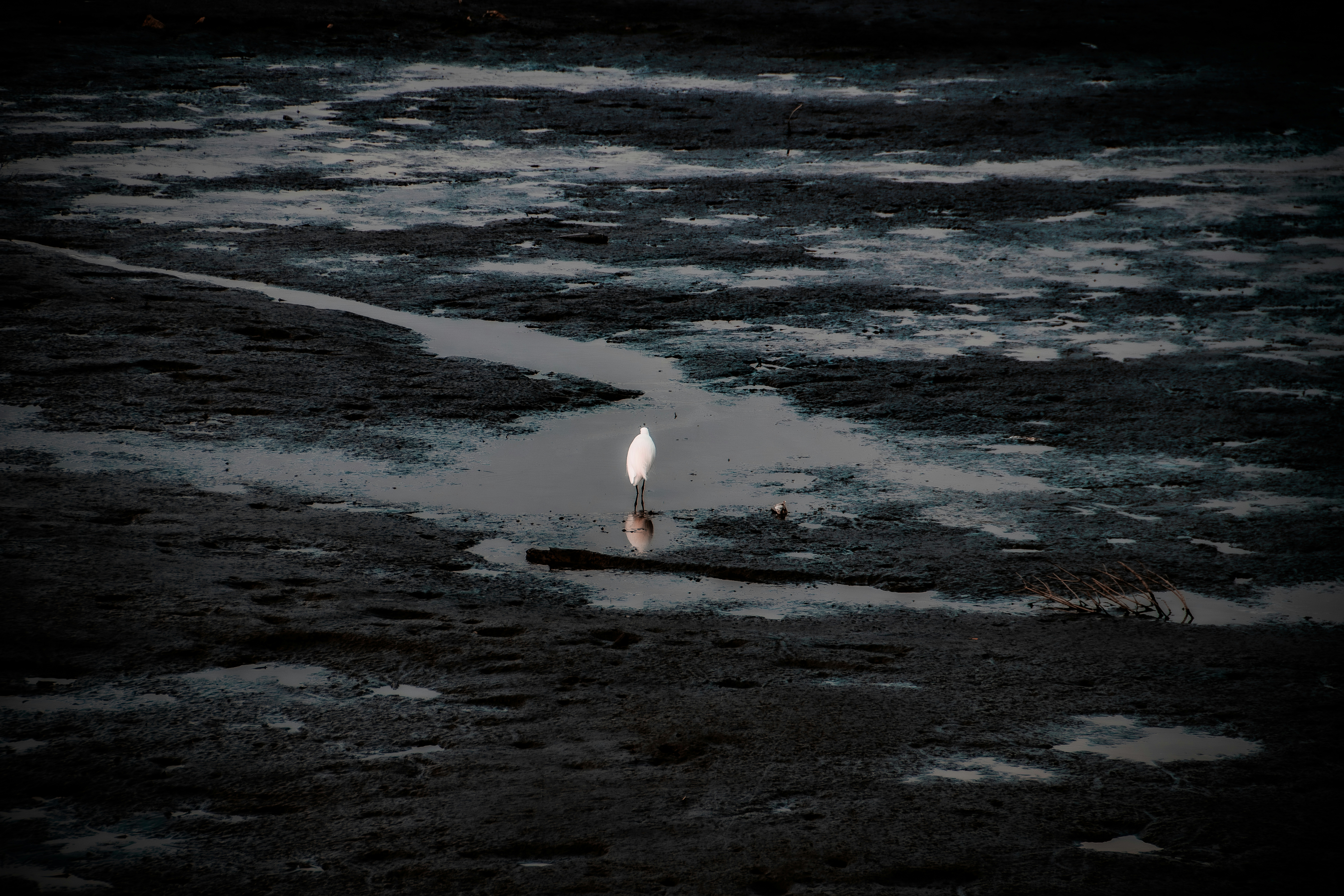 2026-02-find-new-pieces-nature-image-27