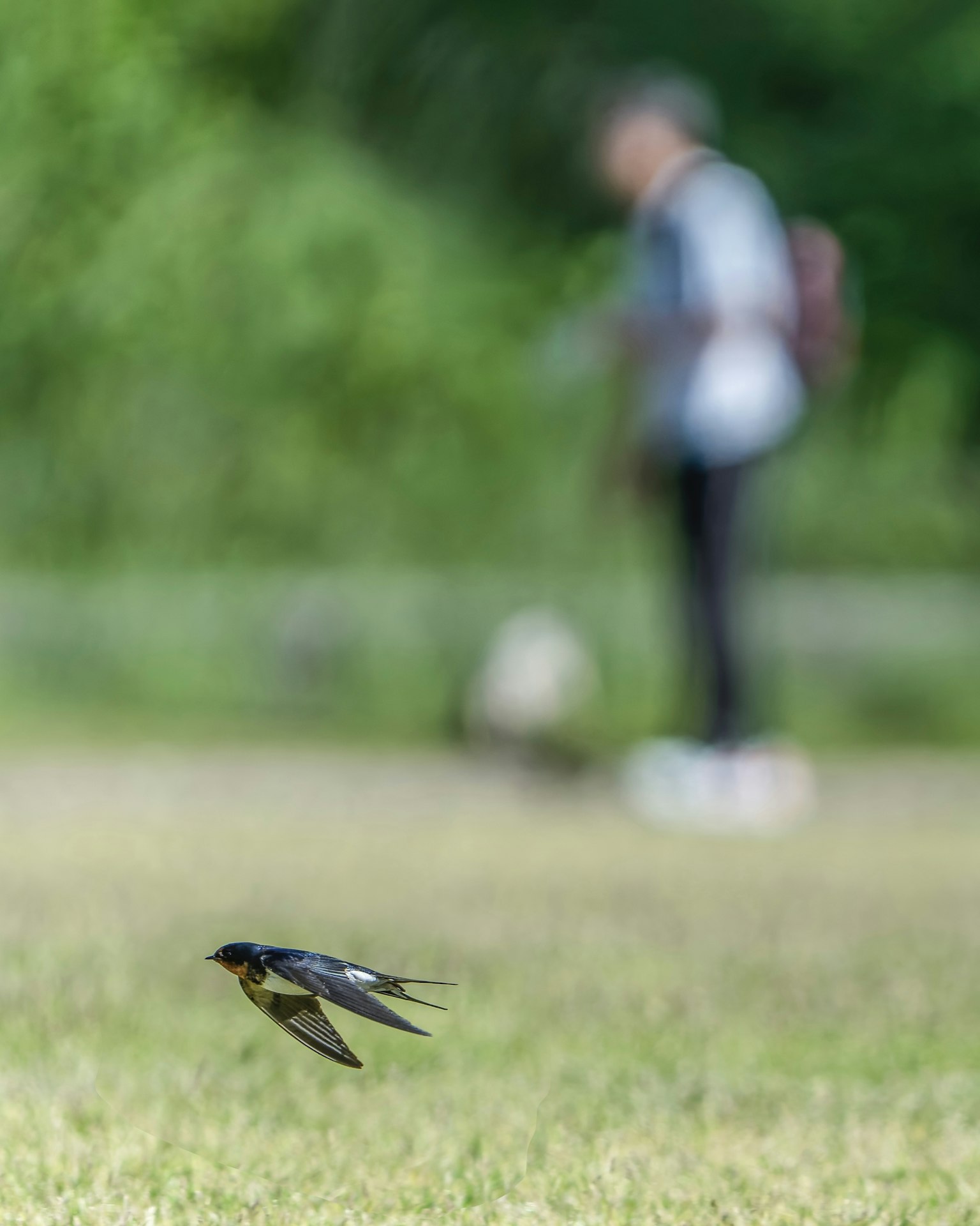 2024-05-inspiration-about-snap-photography-image-9