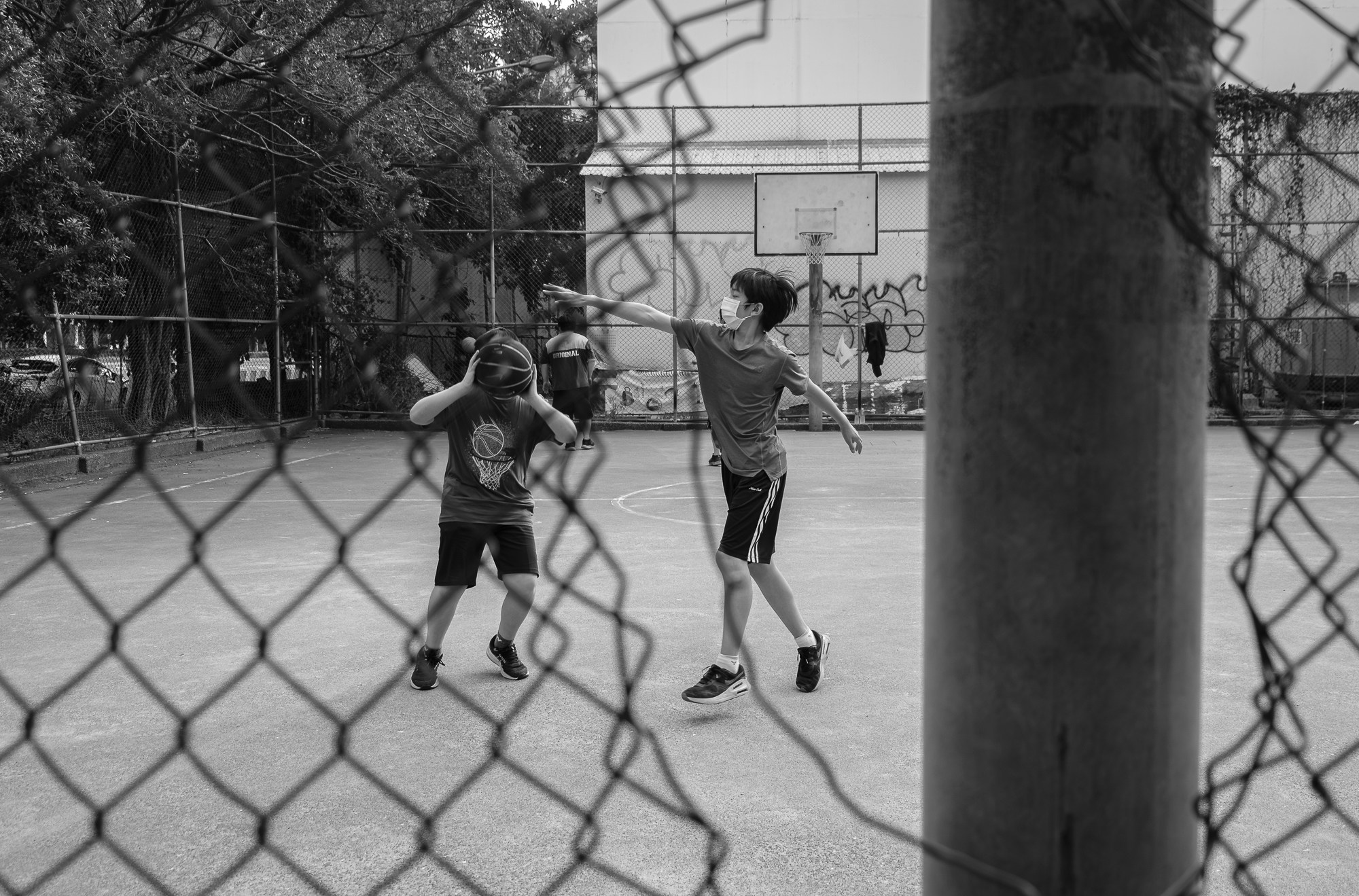2026-05-read-your-photography-beyond-the-fence-image-9