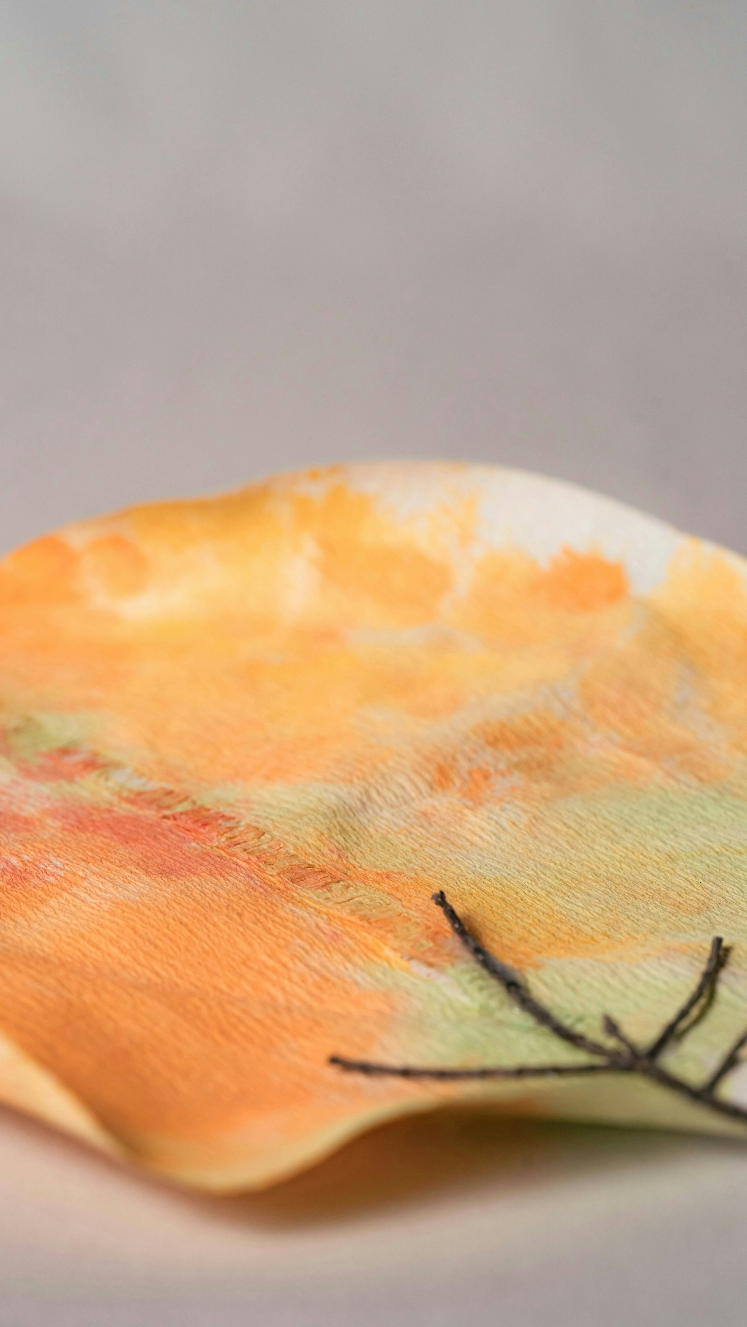 2025-03-fujikko-sigma-105mm-macro-portrait-image-11