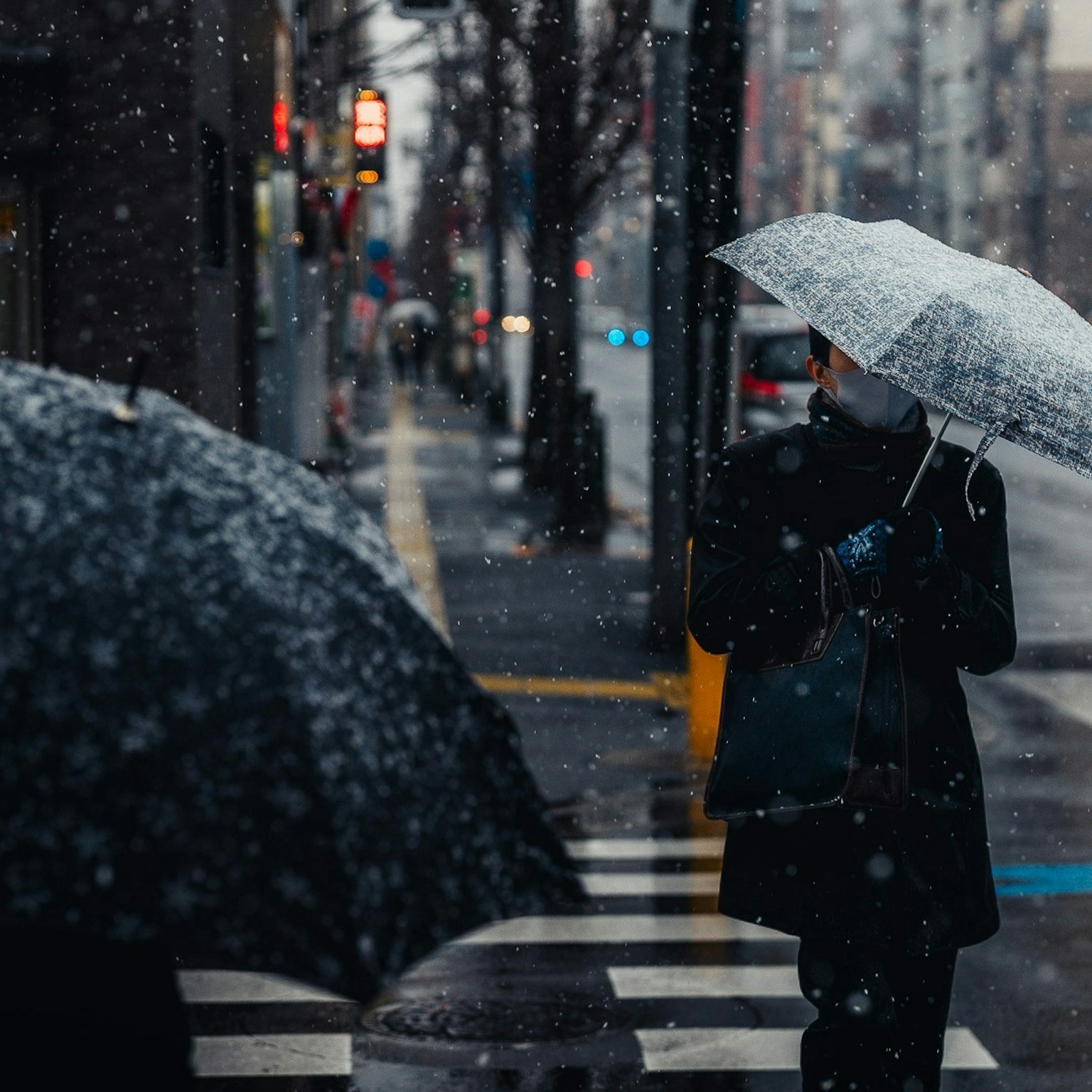 2025-01-streetsnap-cover-image
