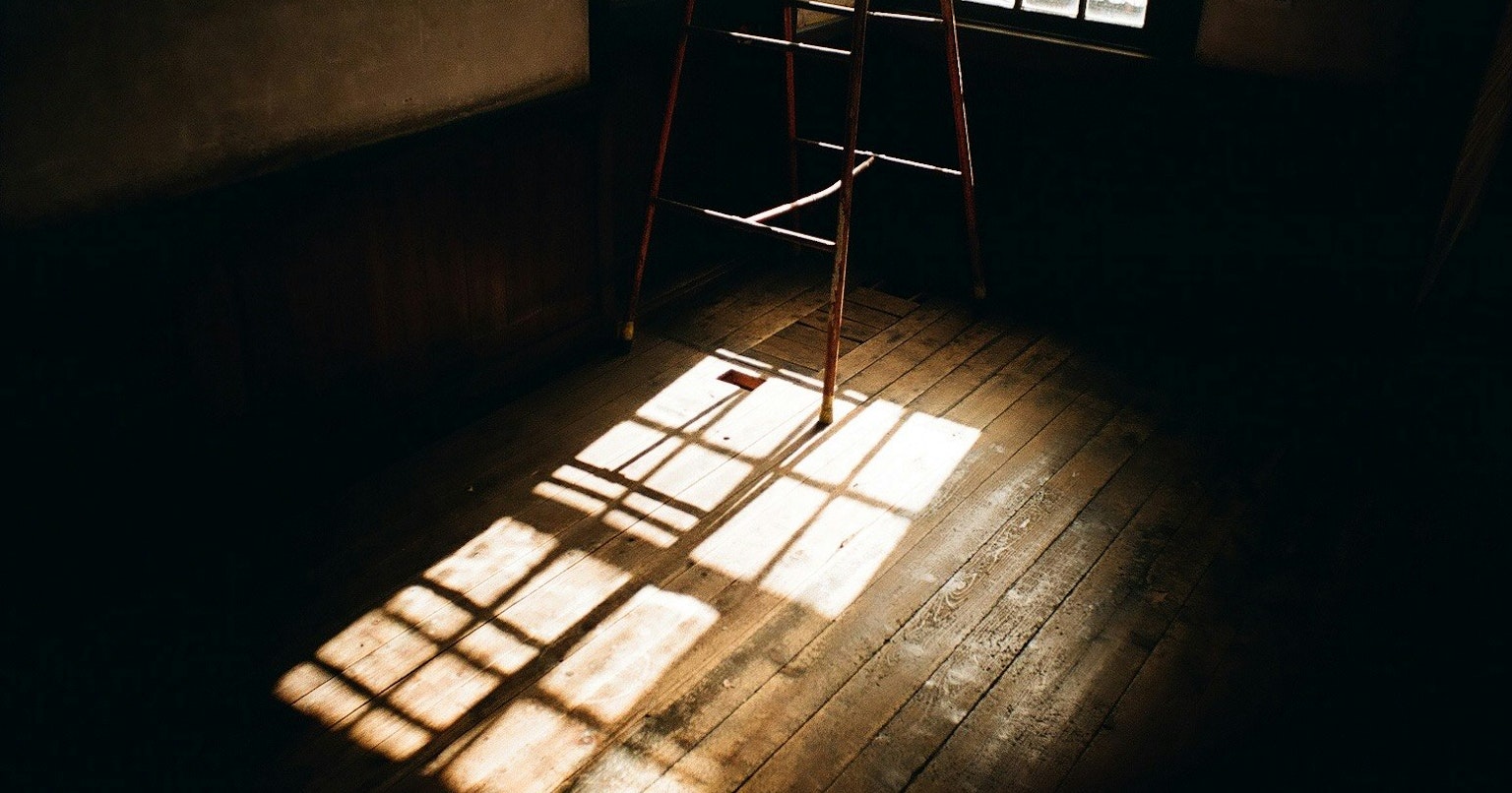 2024-08-nikon-red-cover-image