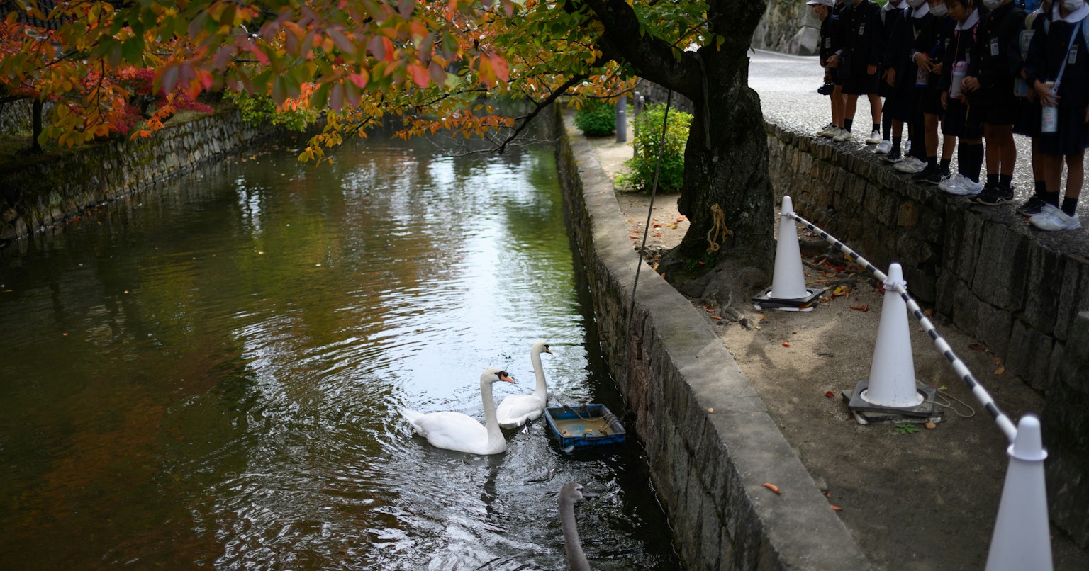 2025-12-next-generation-standard-camera-cover-image