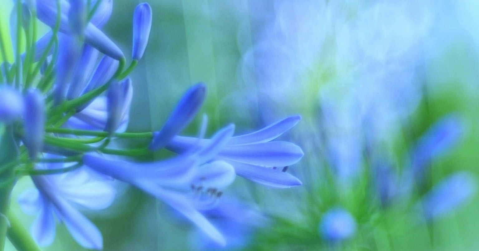 2025-01-mayu2024-making-ideas-possible-cover-image