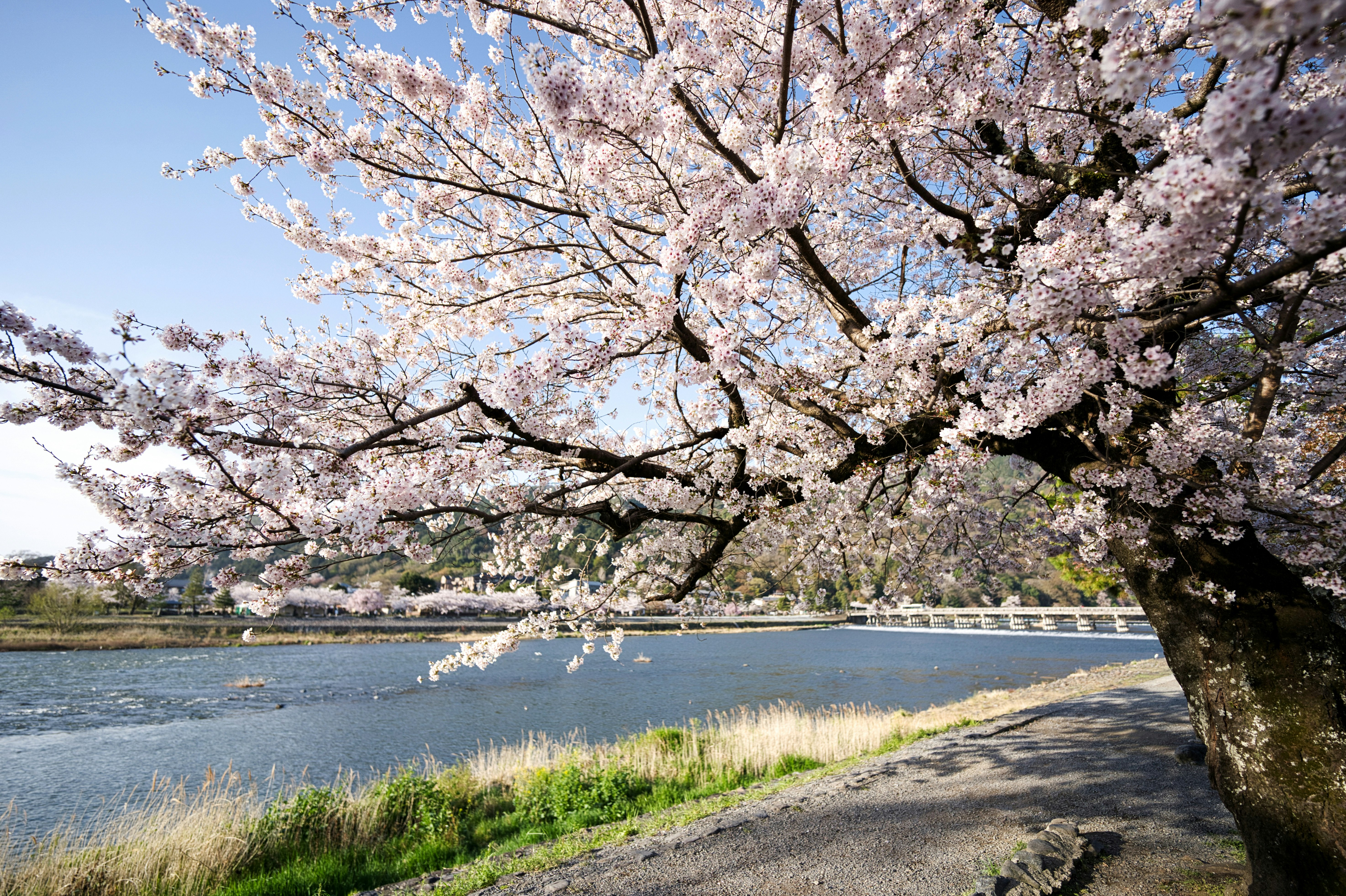 2026-04-bloom-report-cover-image