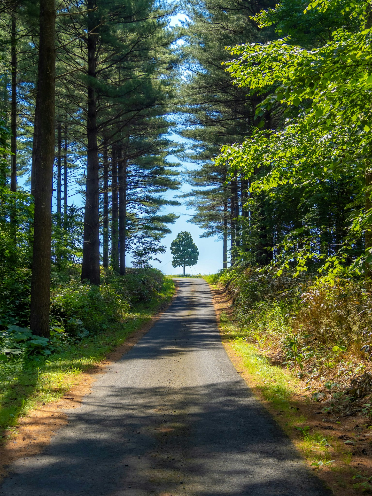 2025-06-edit-workflow-quality-image-10