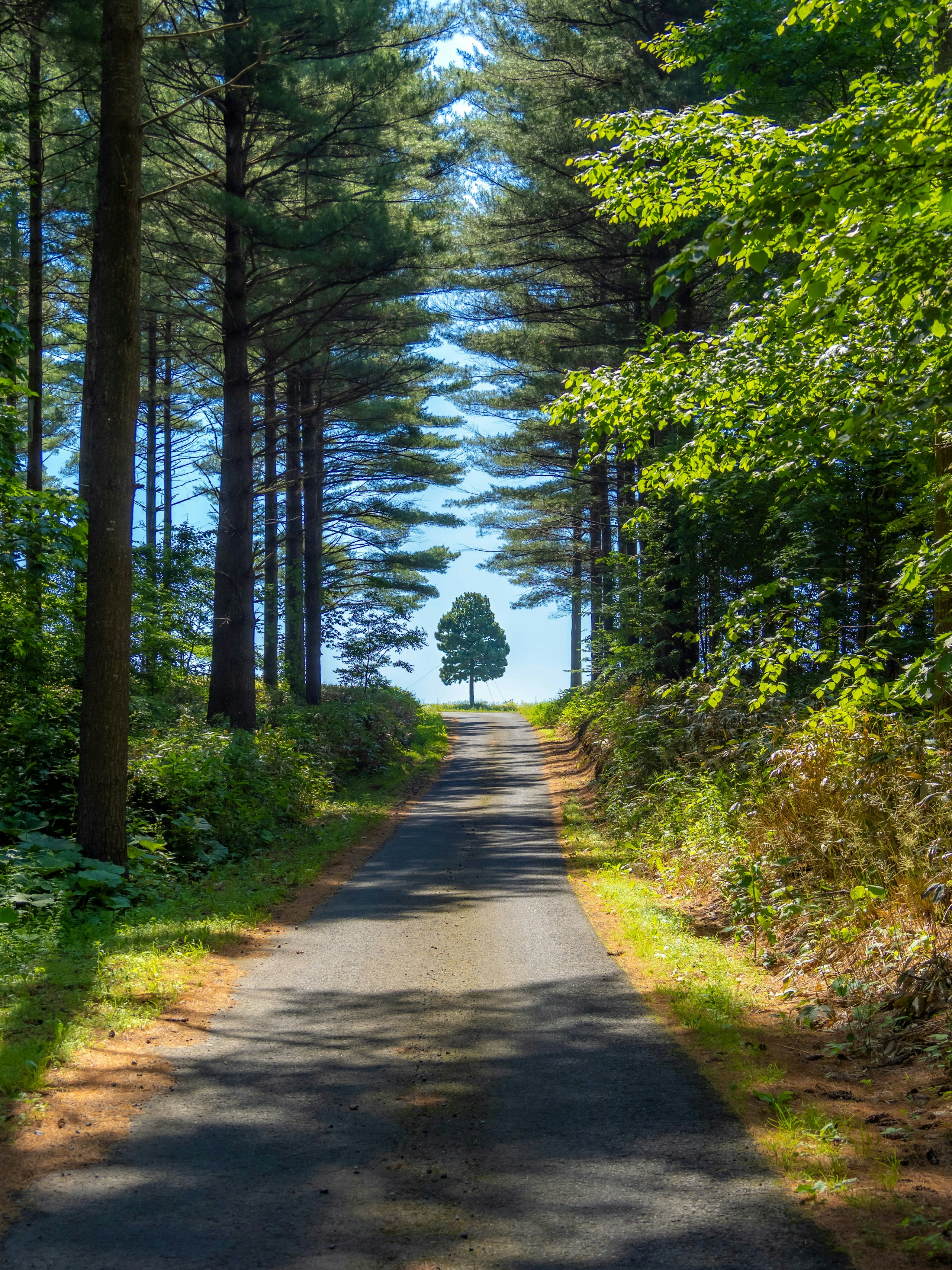 2025-06-edit-workflow-quality-image-10