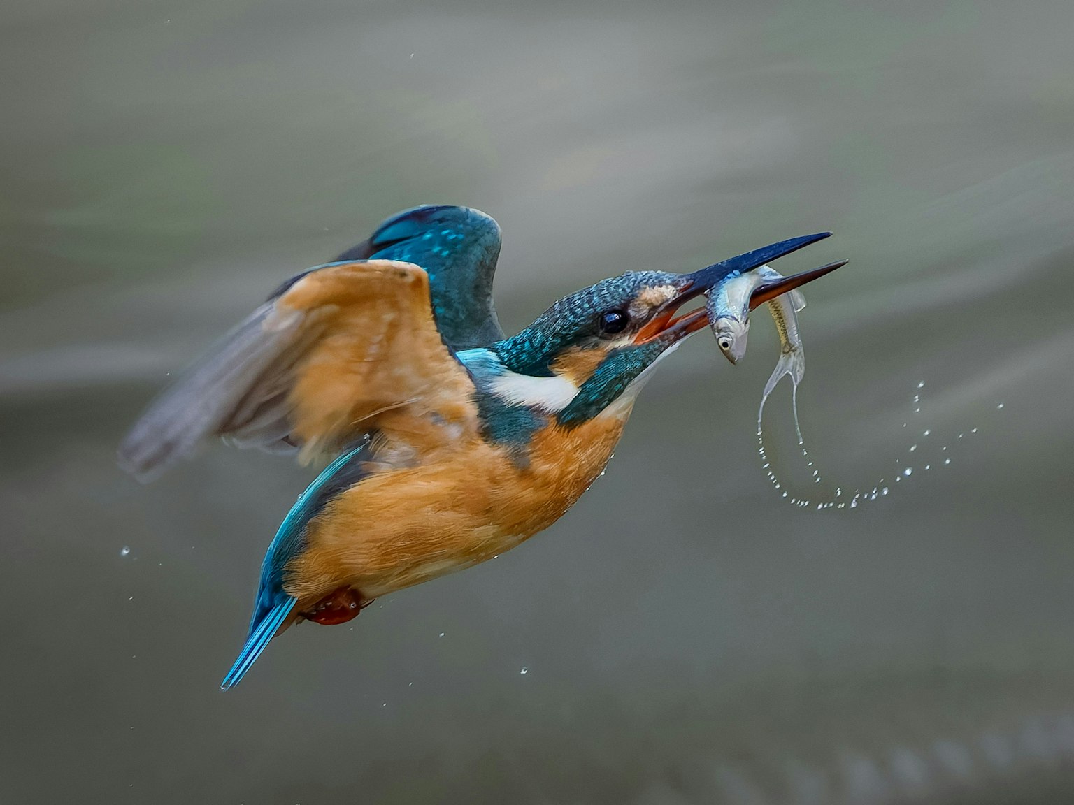 2025-08-life-image-4