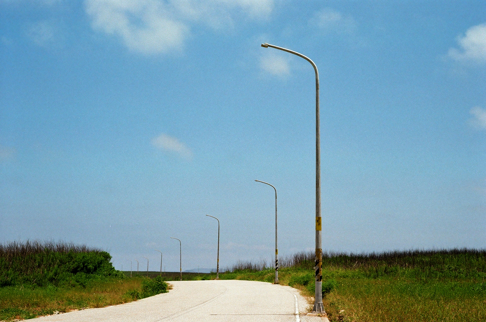 2026-06-film-report-cover-image