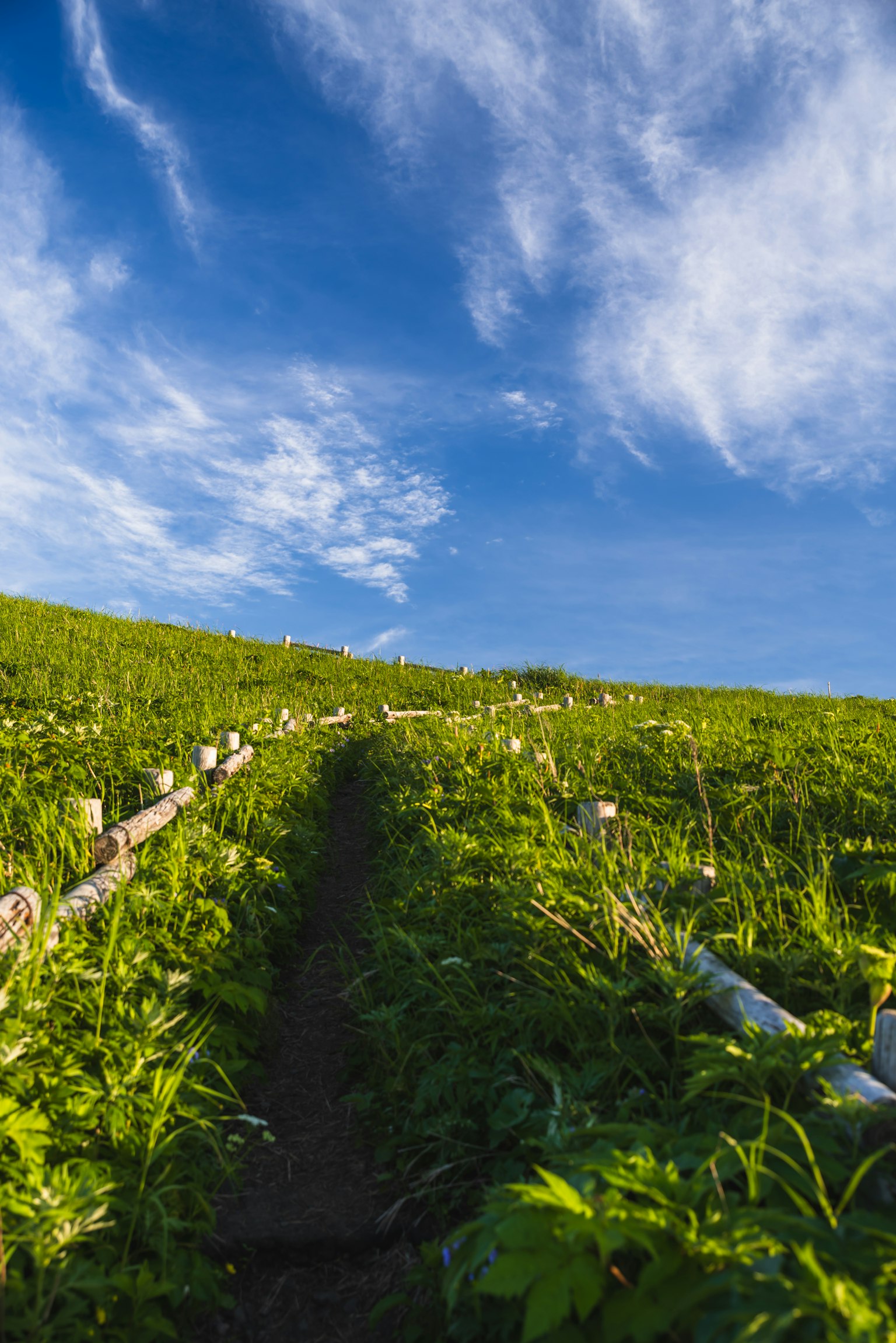 2024-05-color-of-summer-image-7