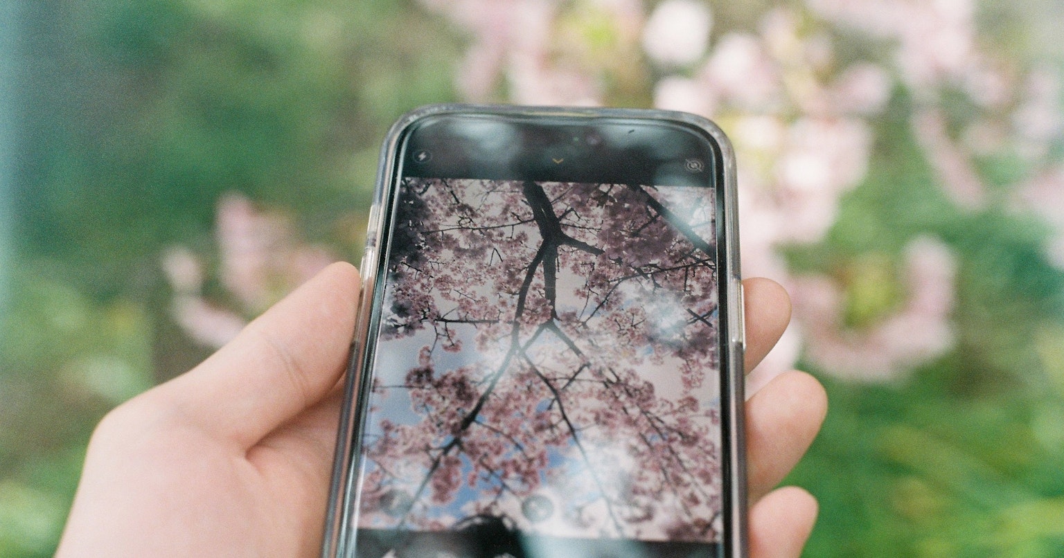 2024-07-ai-info-cover-image