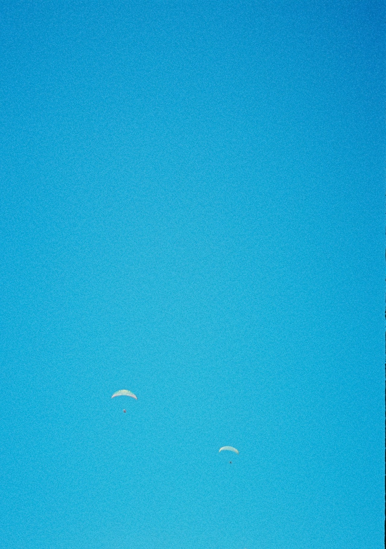 Foto di Uejo Ikuto