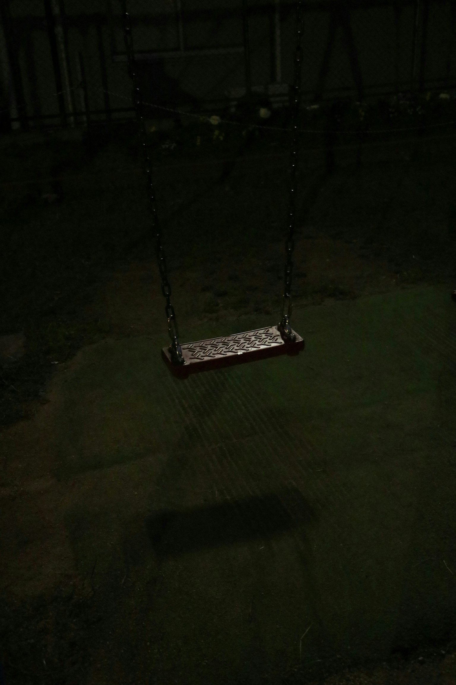 2025-08-capture-daily-moments-image-9