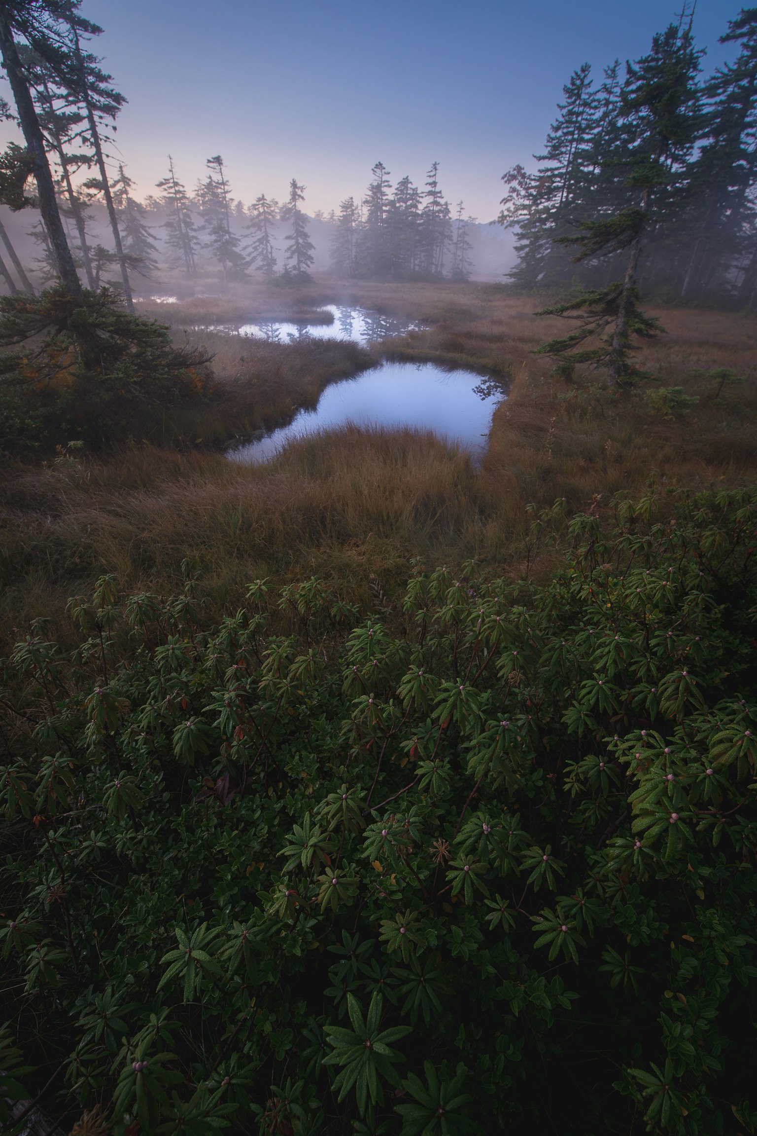 2024-04-hokkaido-image-12