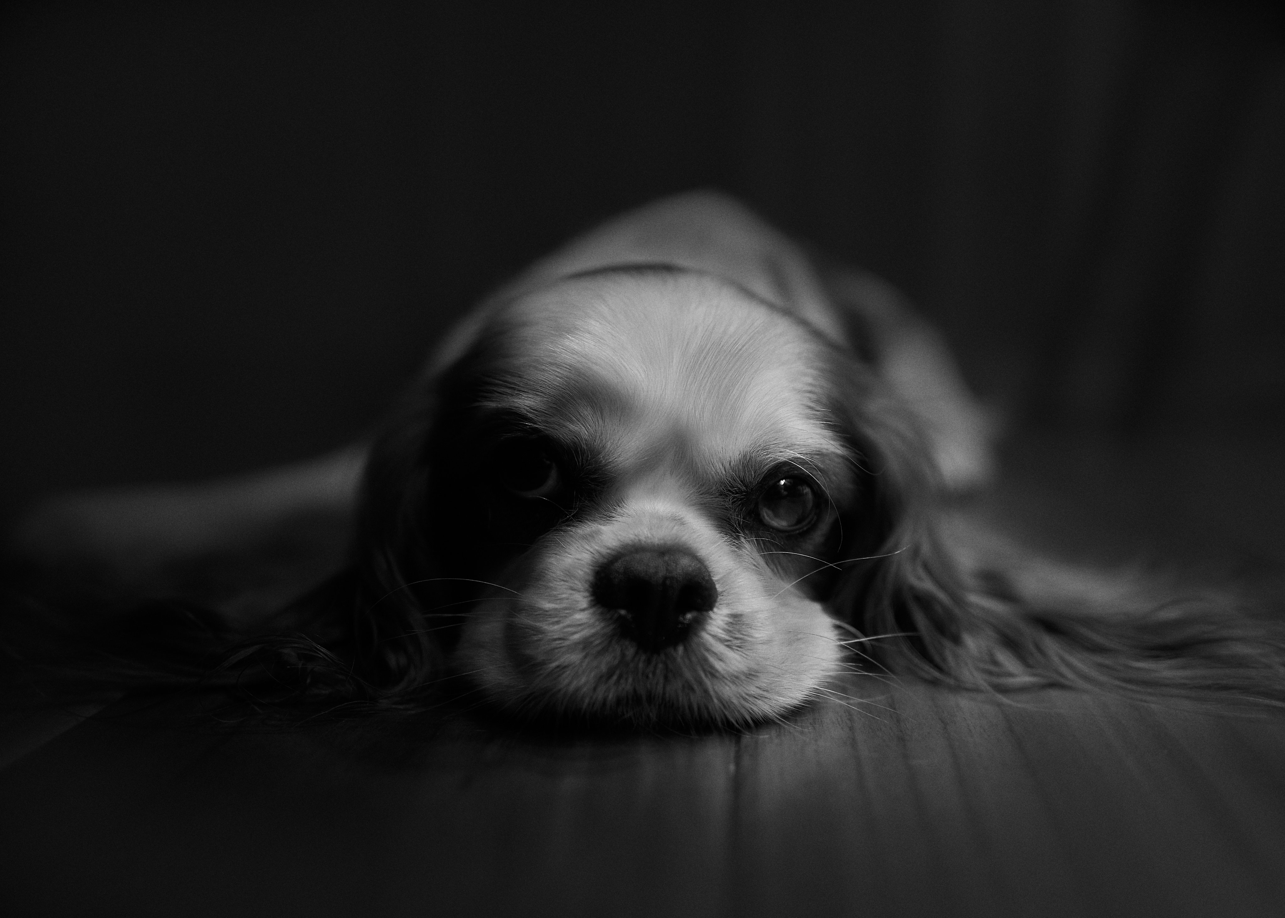 2026-09-freedom-in-limitation-leica-q2-image-20