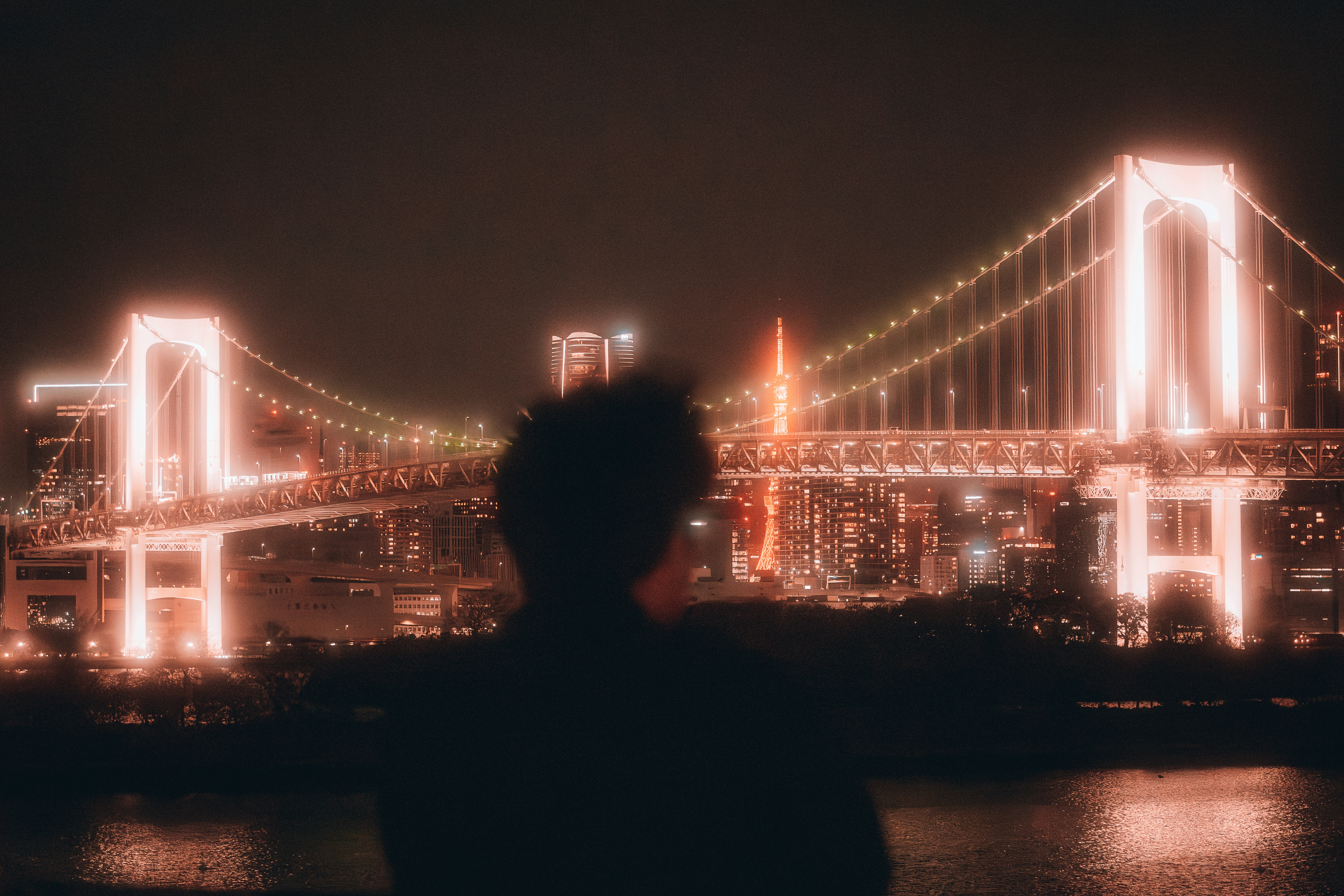 2026-08-the-artificial-glow-image-17