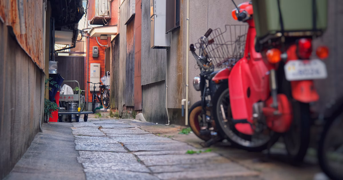 The World of Alleyways | Focus #320