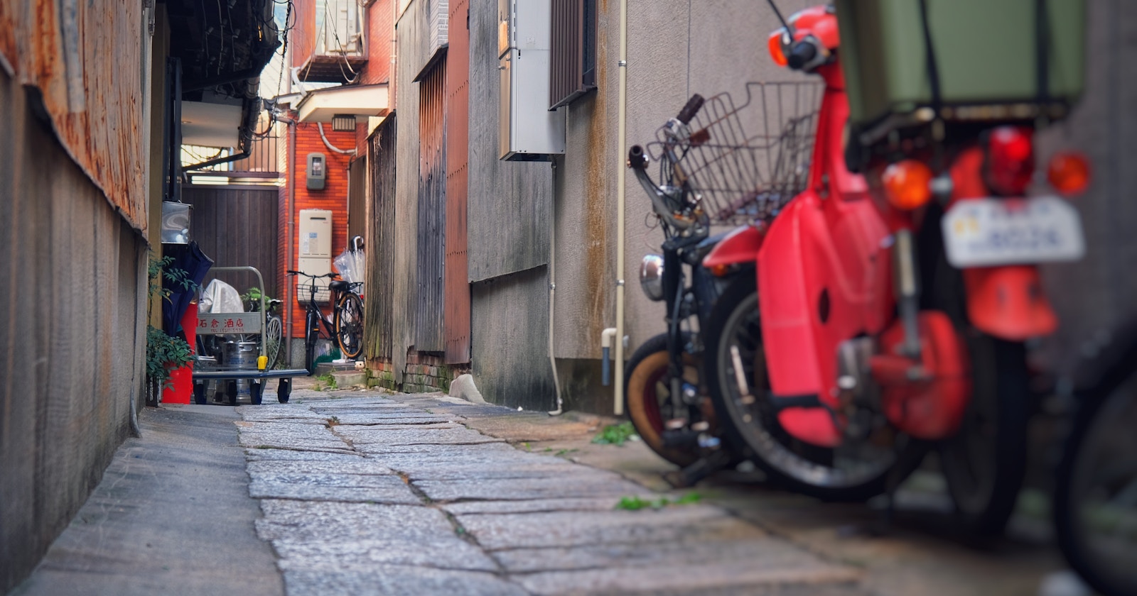 The World of Alleyways | Focus #320