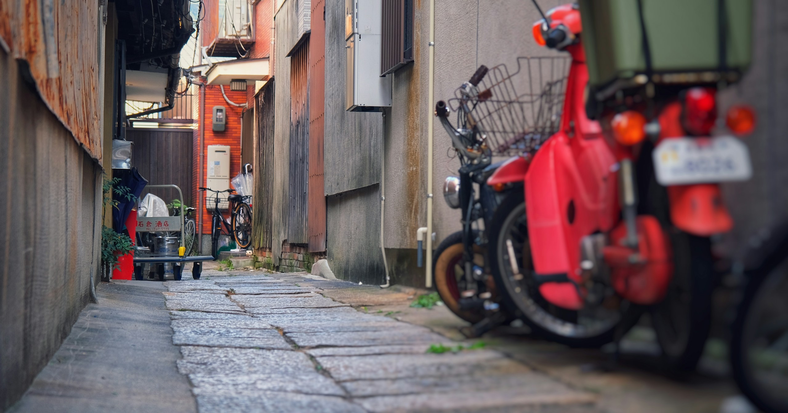 The World of Alleyways | Focus #320