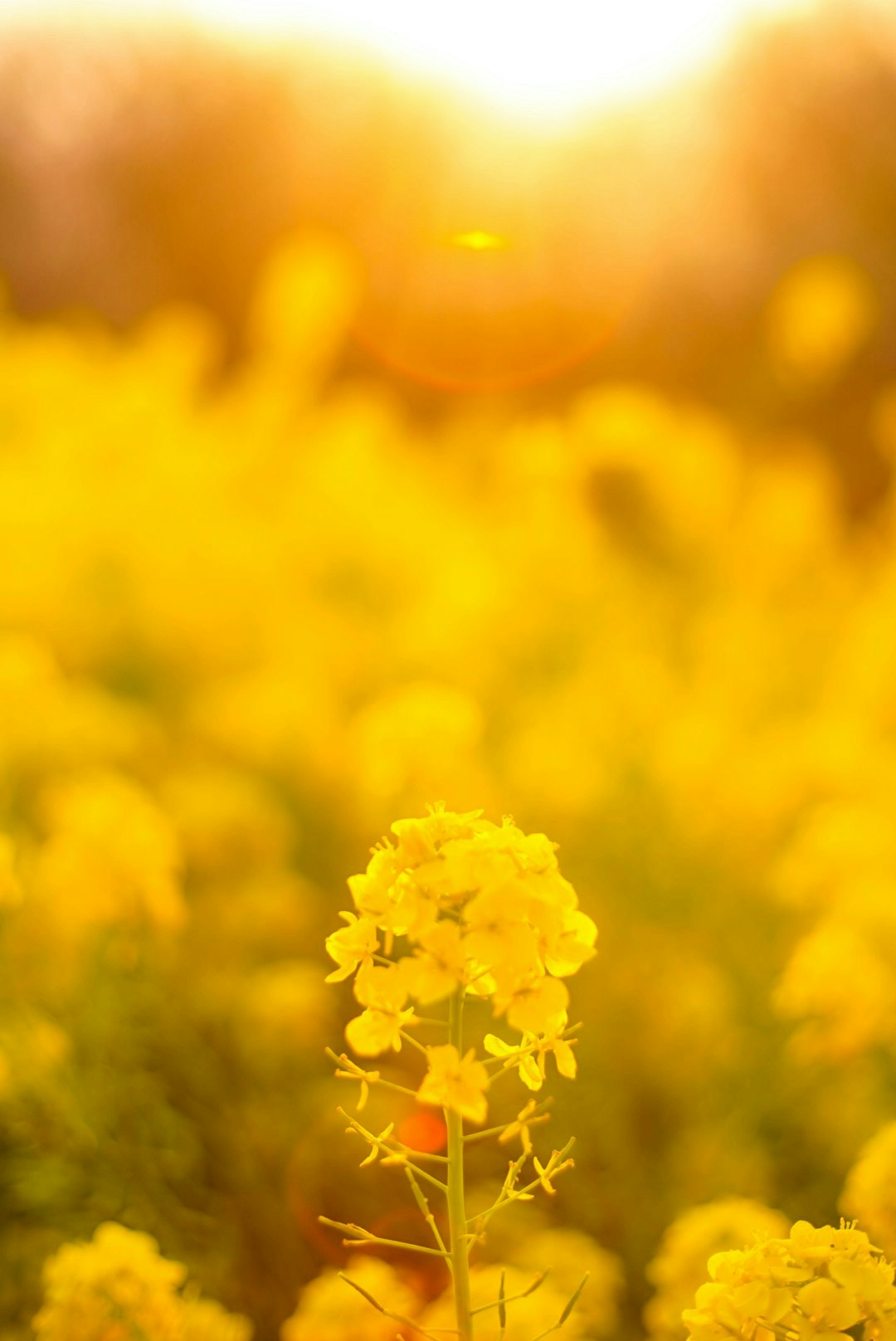 2025-10-autumn-light-weather-patience-image-4