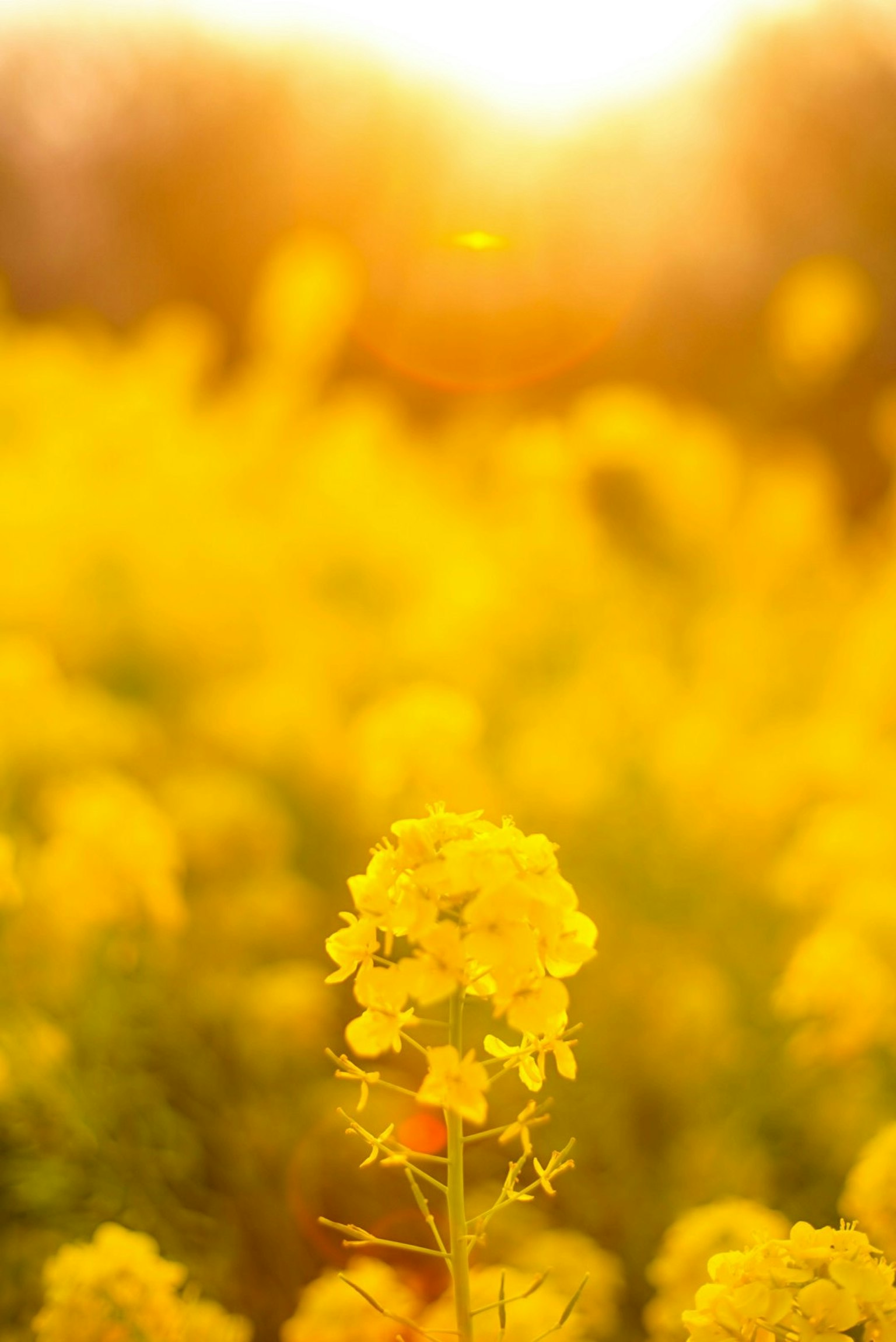 2025-10-autumn-light-weather-patience-image-4
