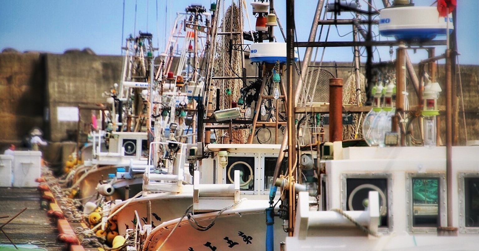 2024-05-release-pick-up-5-cover-image