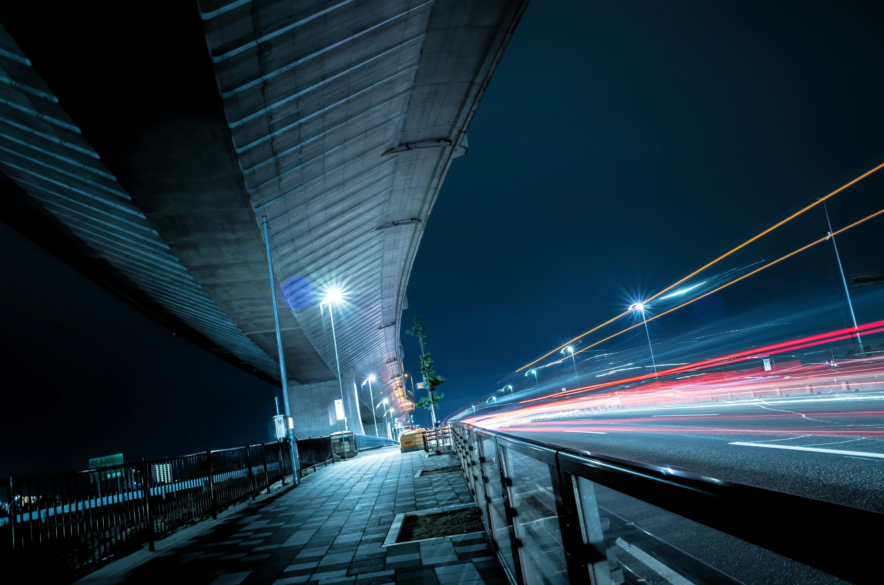 2025-11-tripod-photo-expression-cover-image