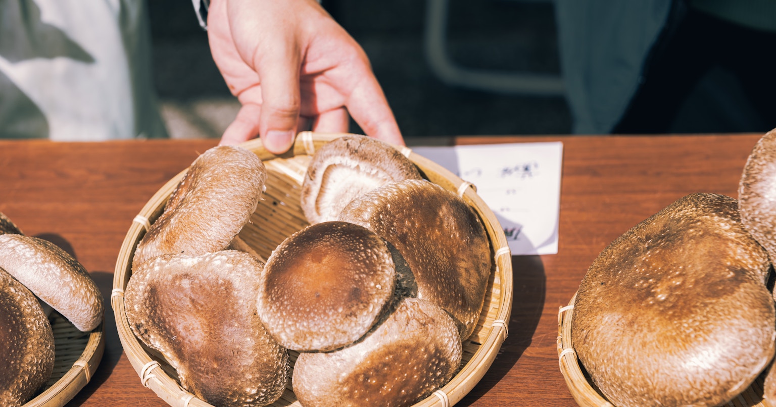 2024-11-october-diary-award-cover-image