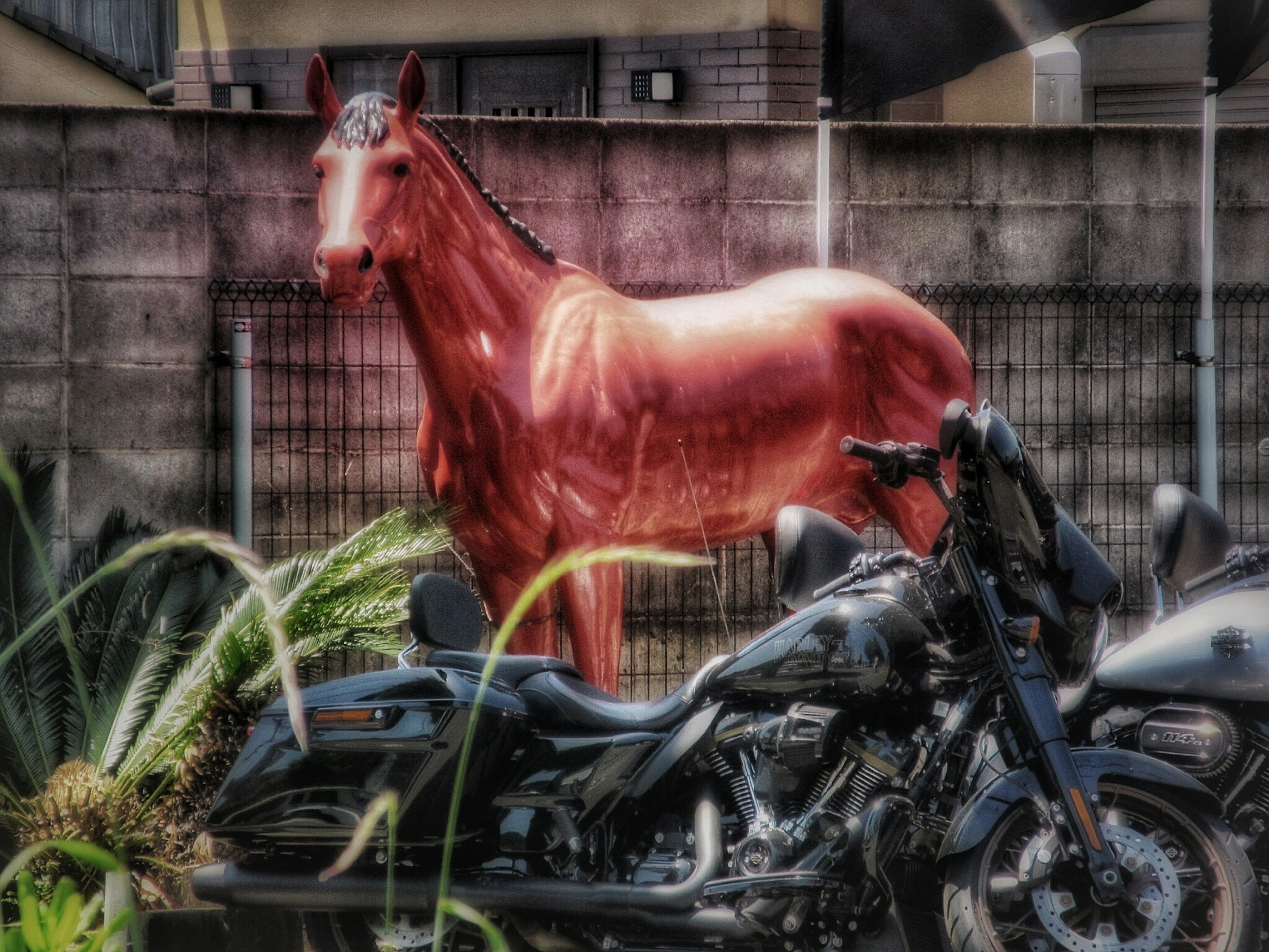 2024-05-horse-image-21