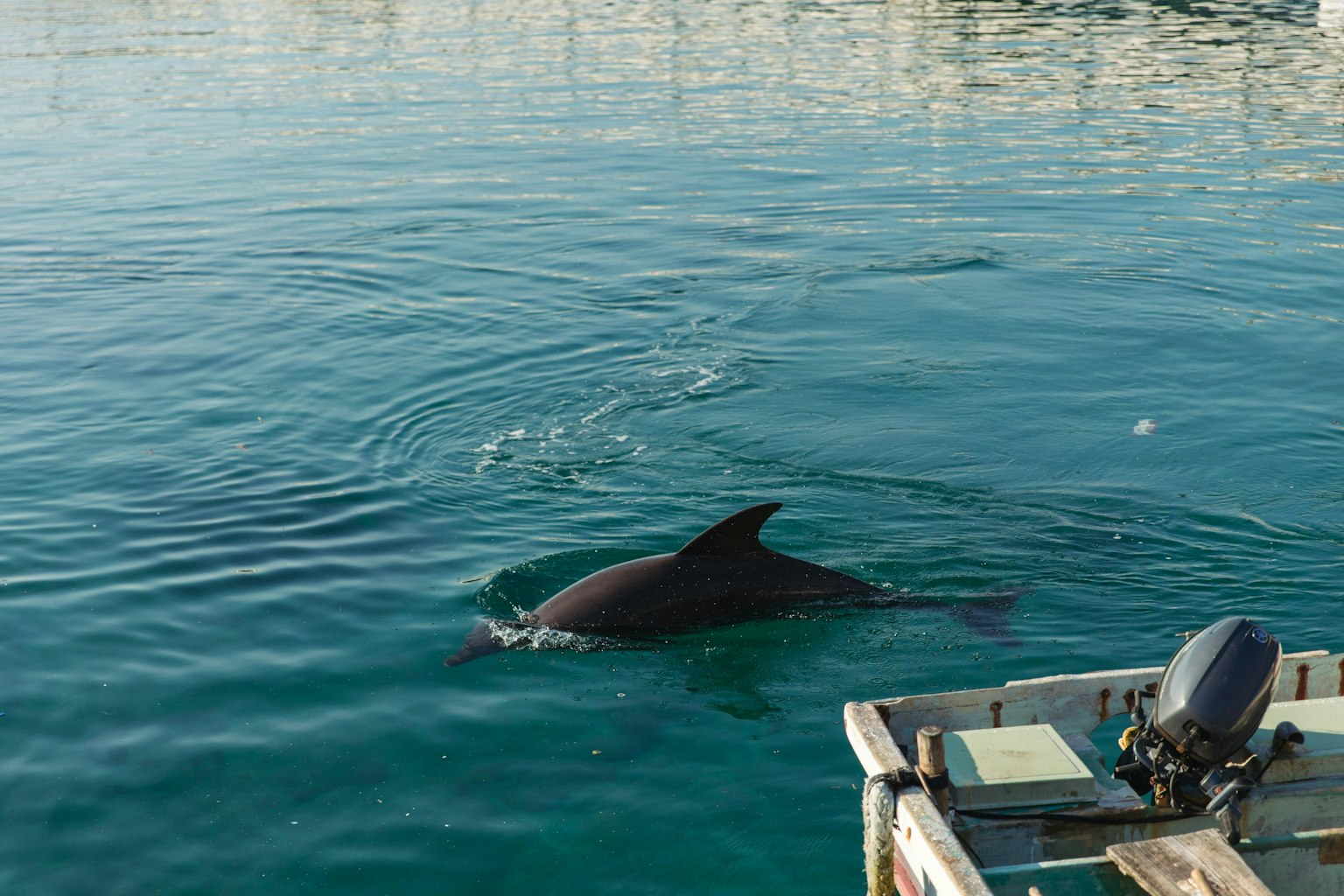 2025-08-japan-shikoku-spots-by-remm-image-15