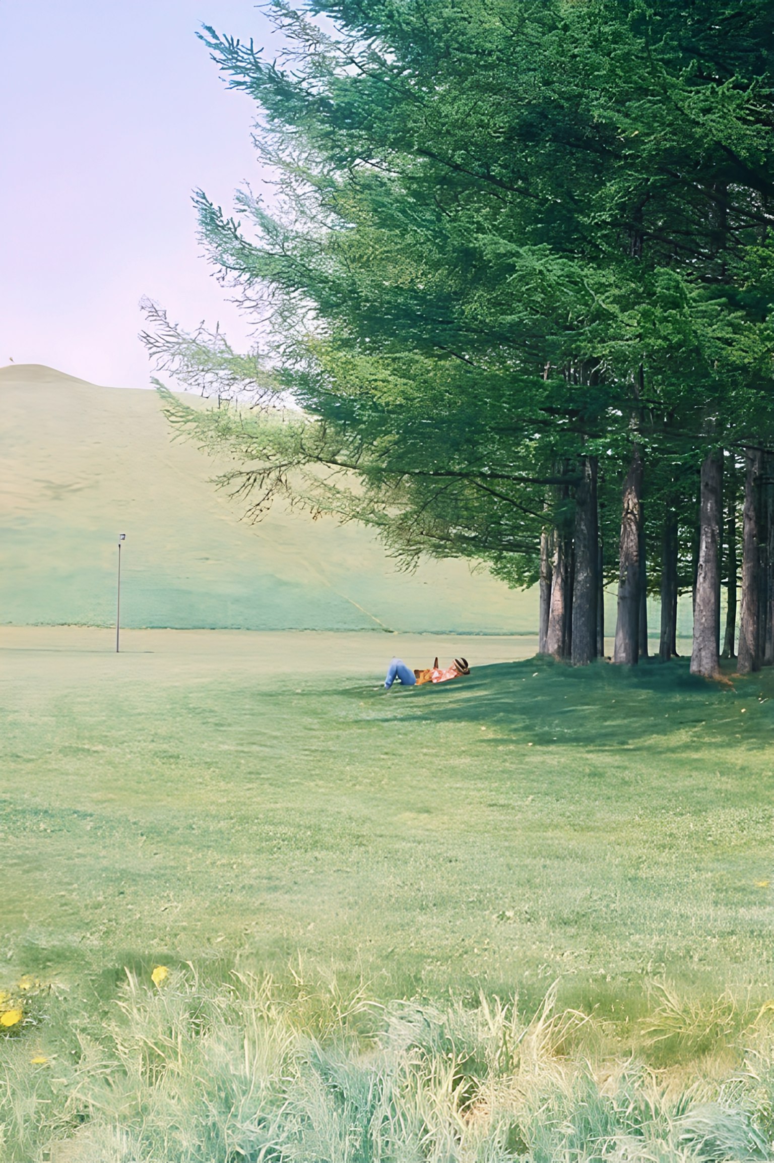 2025-06-ppp-review-by-haruki-image-15